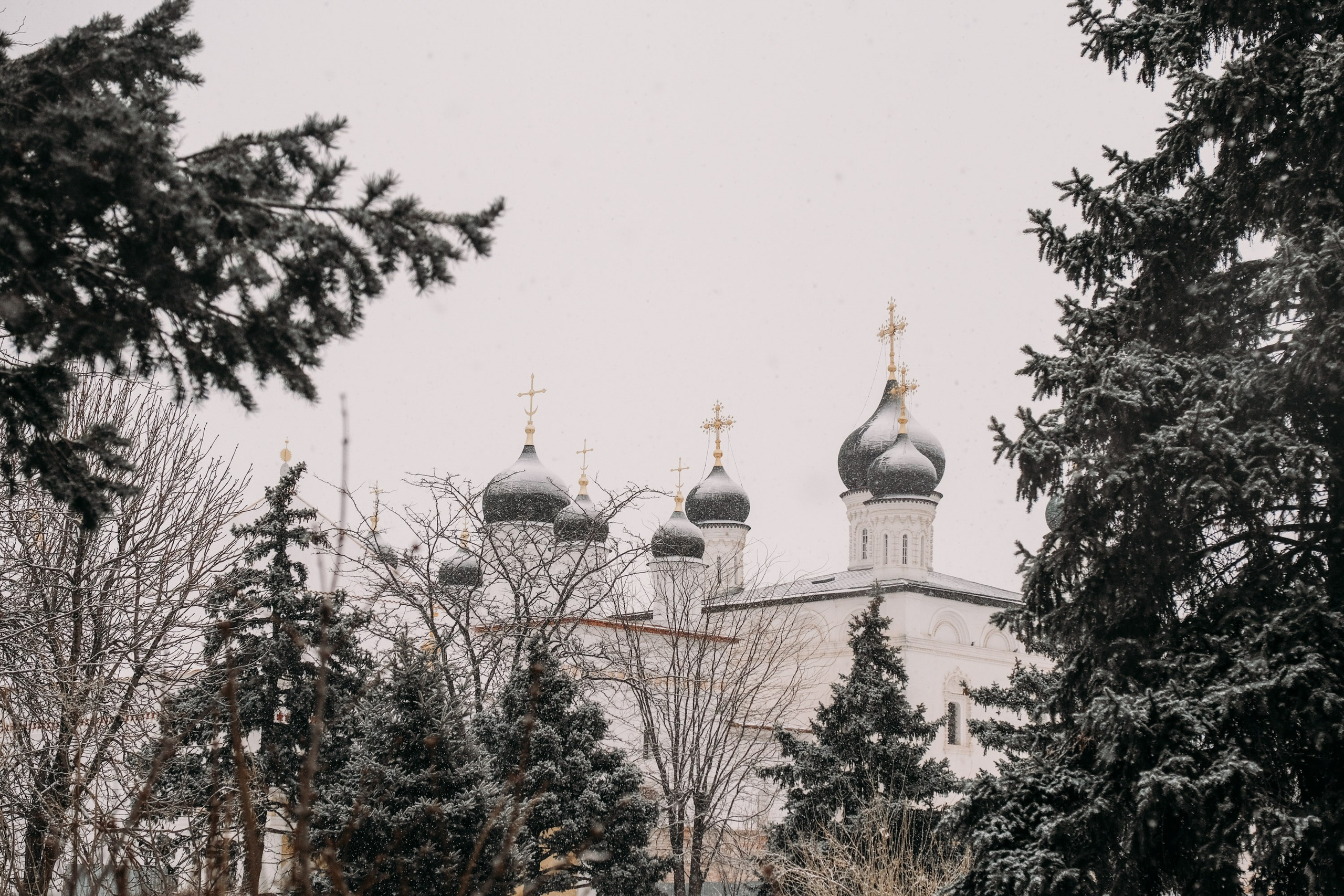 Снегопад. Фотограф Анатолий Деникин