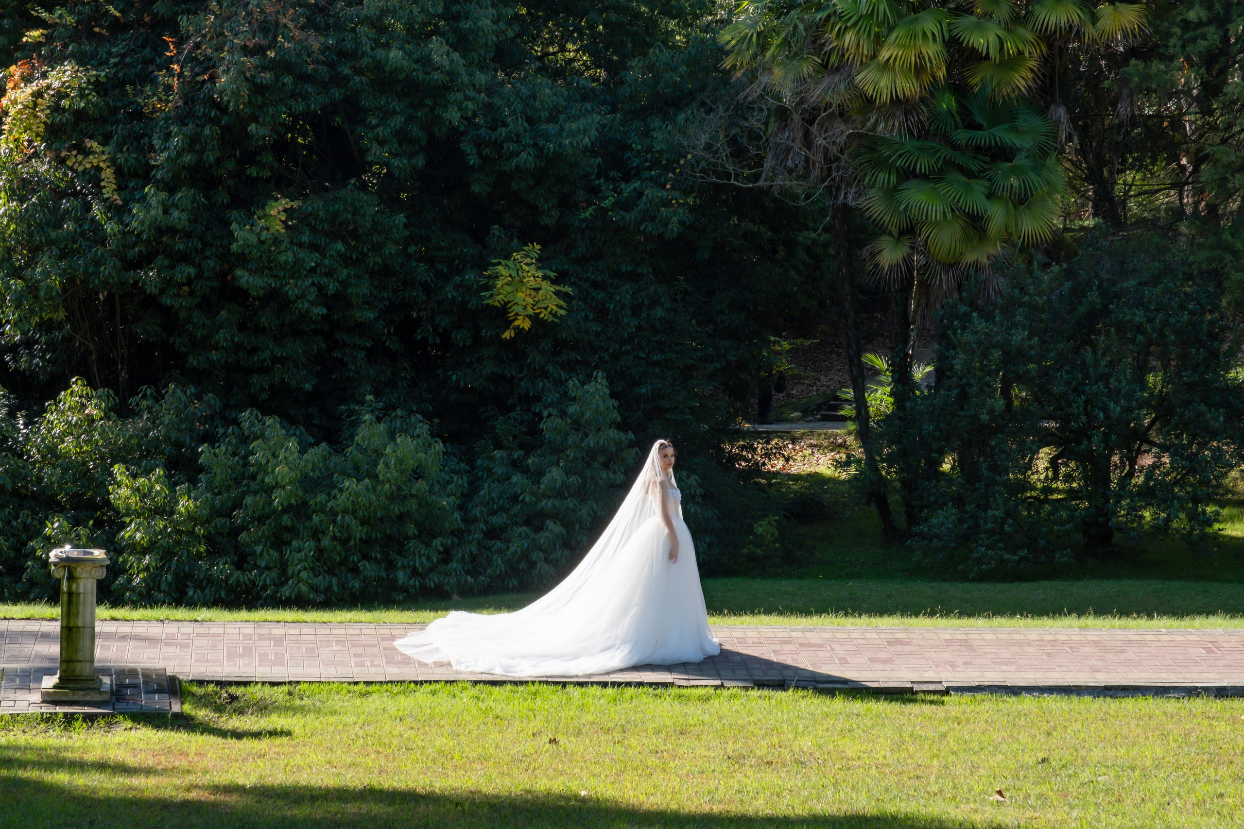 Сергей & Диана