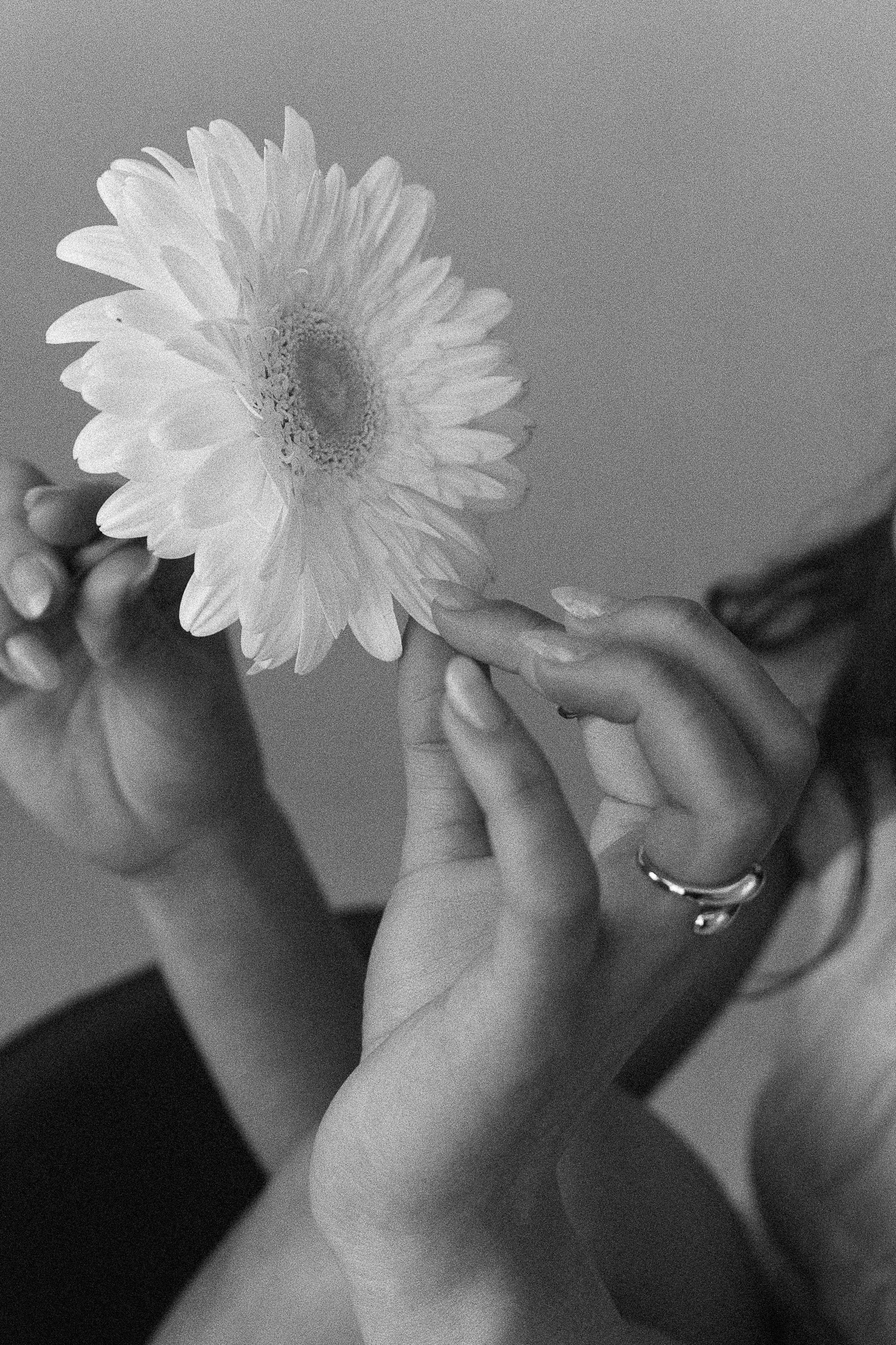 Анастасия. Свадебный и семейный фотограф Виолетта Сидельникова. Краснодар, Россия, Беларусь, Европа