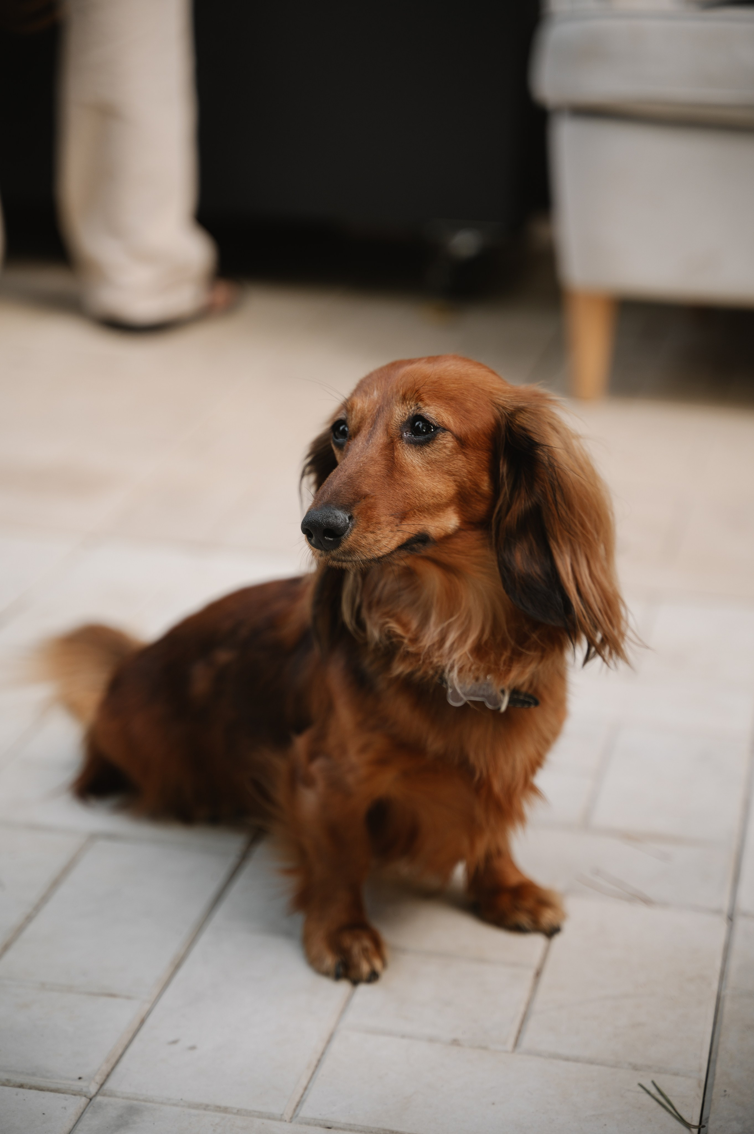 Годовщина|гендер. Фотограф — Ася Орехова