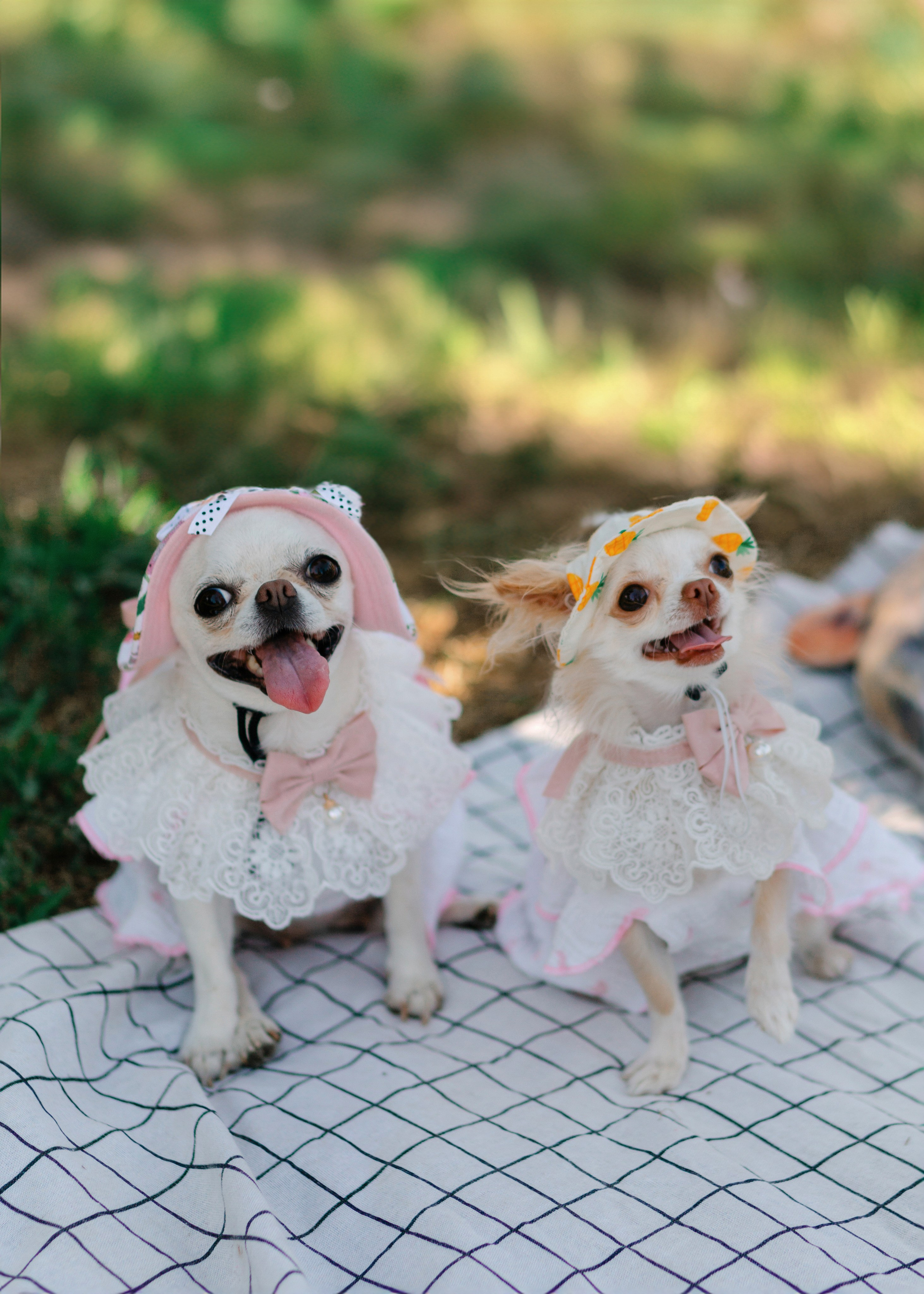 Charming Princesses. Barbara Isaeva