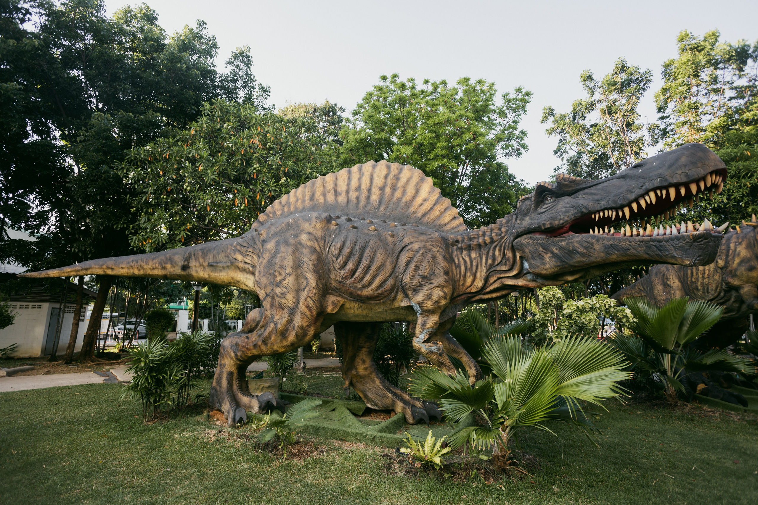 Samut Prakan. Фотограф Сонкина Татьяна