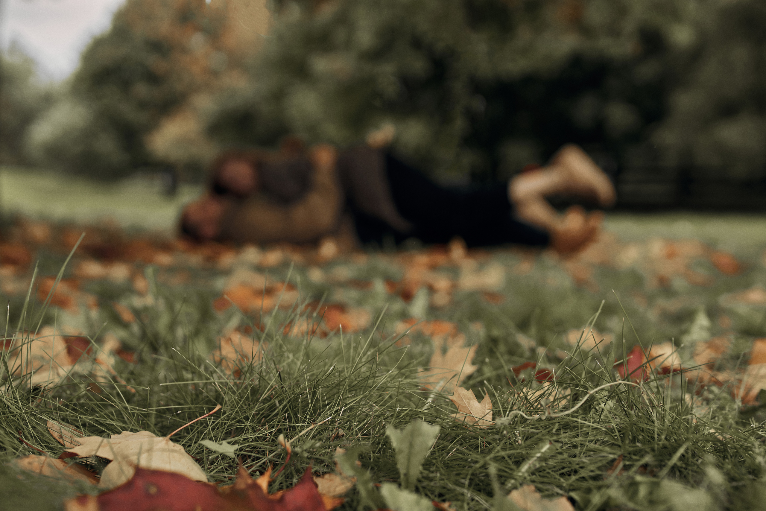 Юля и Вася. Свадебный и Семейный фотограф Москва Петушок Наталья