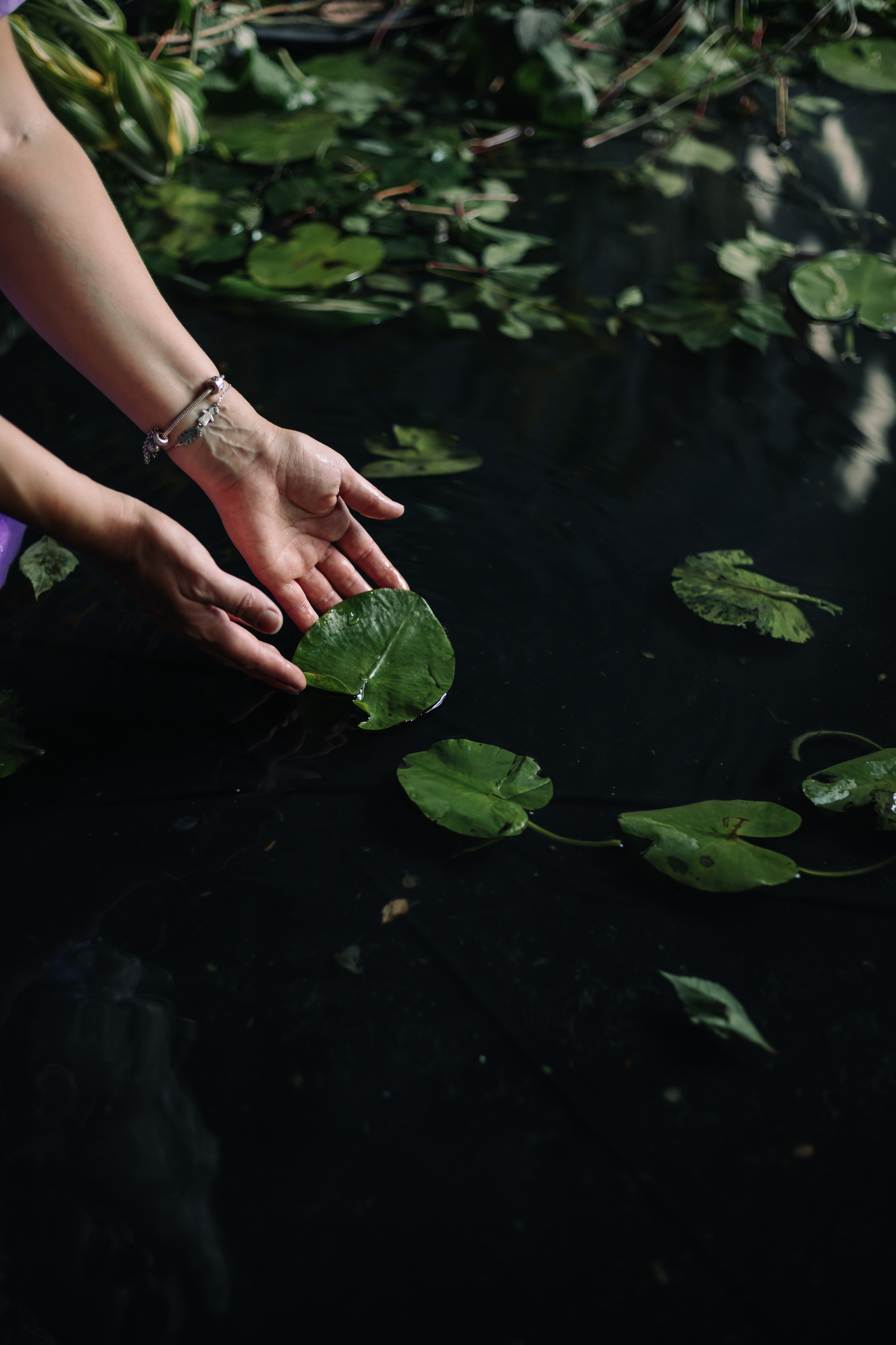 Виктория. Семейный и детский фотограф в г. Новосибирске Макеева Анастасия