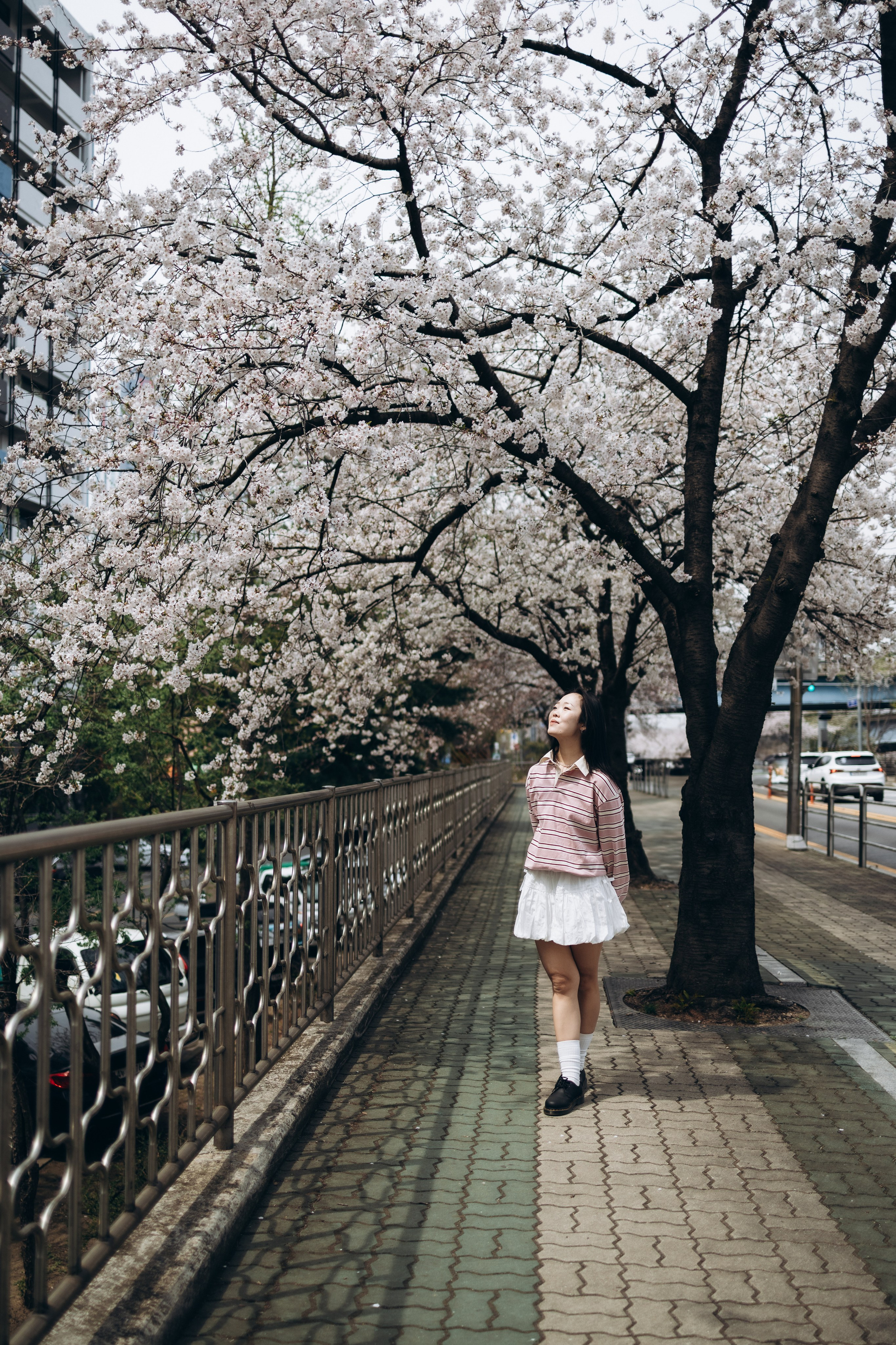 Диша🌸. Фотограф Артем Бросов в Санкт-Петербурге и Дубае