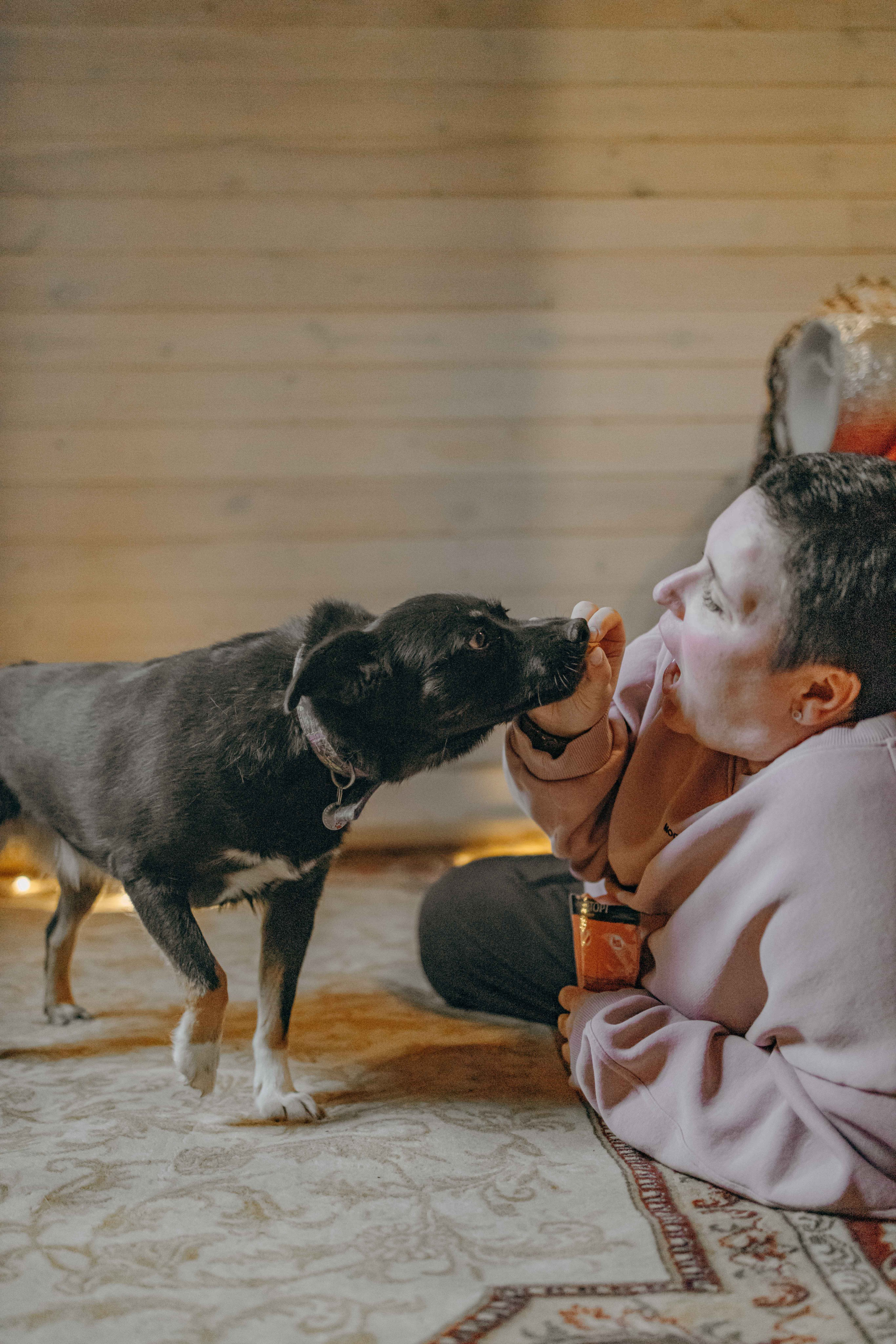 Передержка. Фотограф-анималист в Москве Лера Черноног