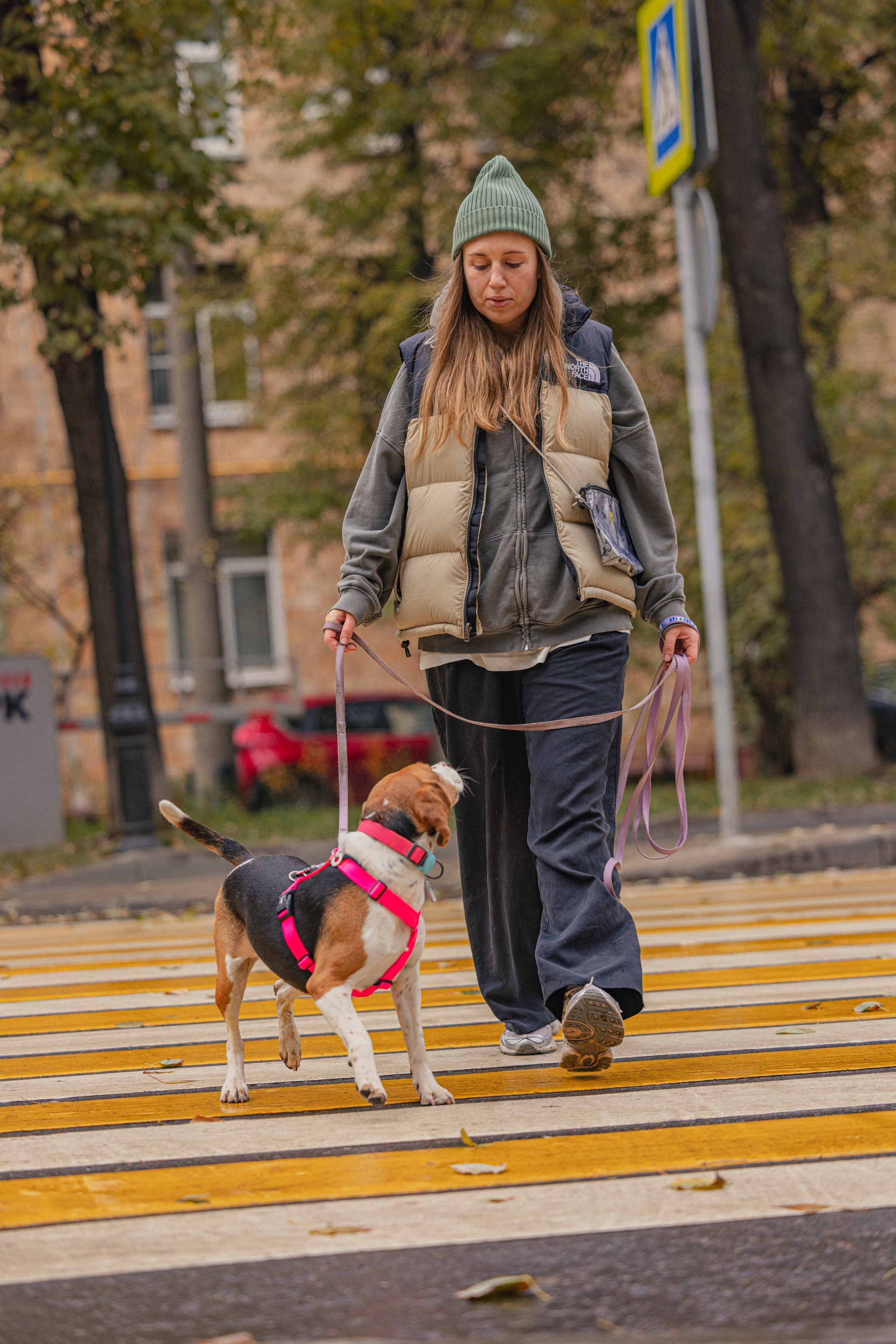 Света и Ива. Фотограф-анималист в Москве Лера Черноног