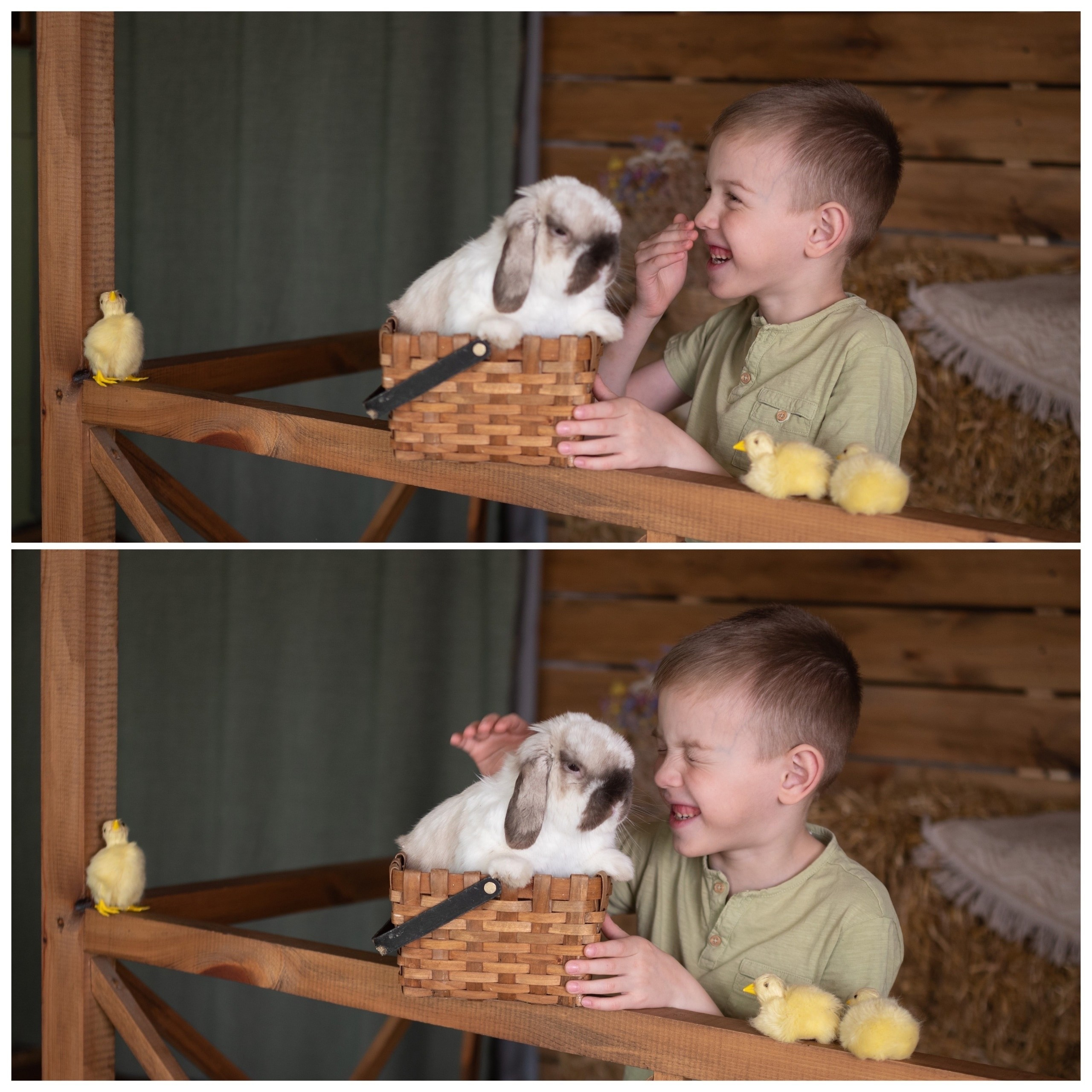 Кролик «Бублик» и цыплята. Фотограф в Тюмени Голышева Елена