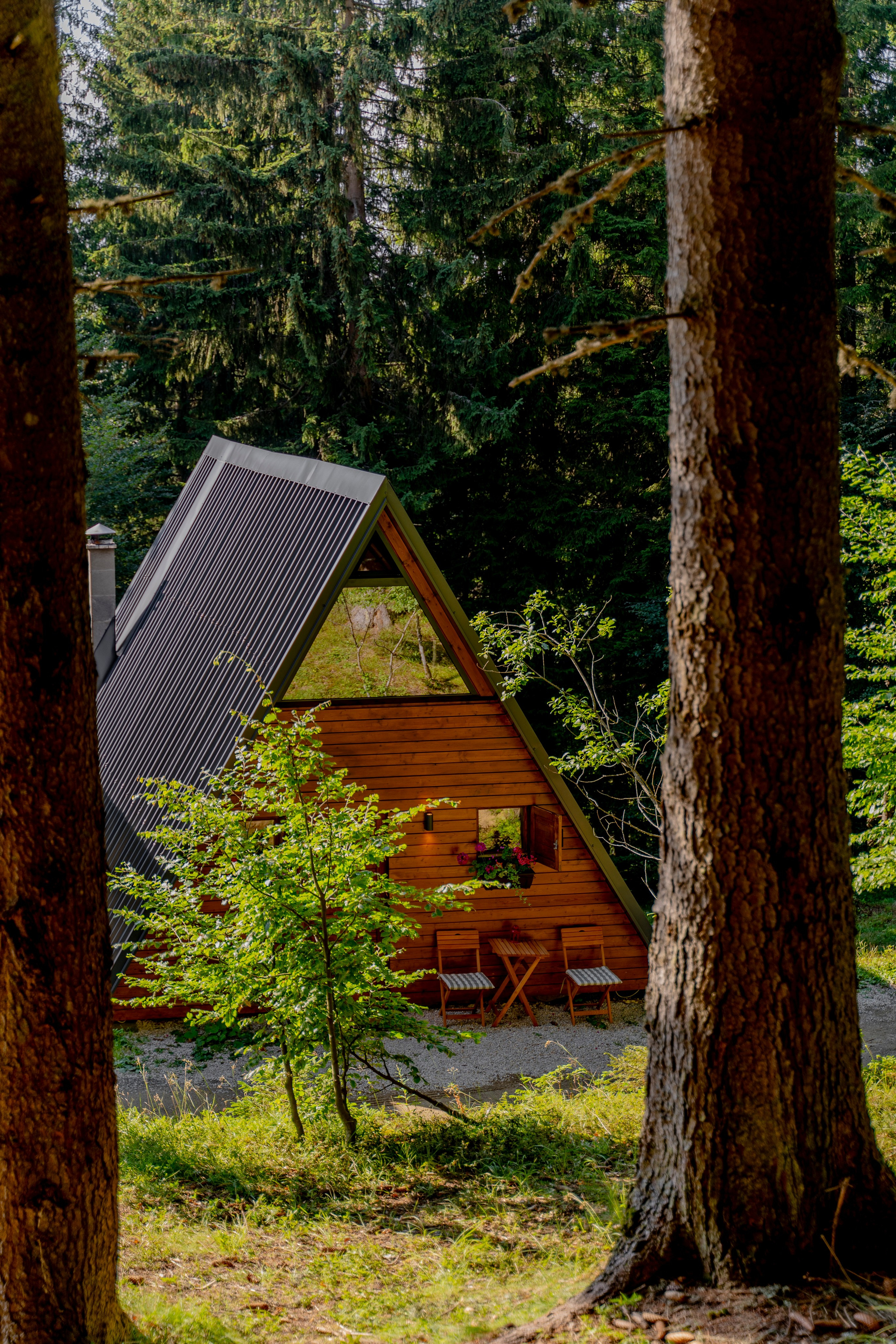 Viktorija Chalet. Photographer Liana Sudets Serbia Kopaonik Brzece Brus