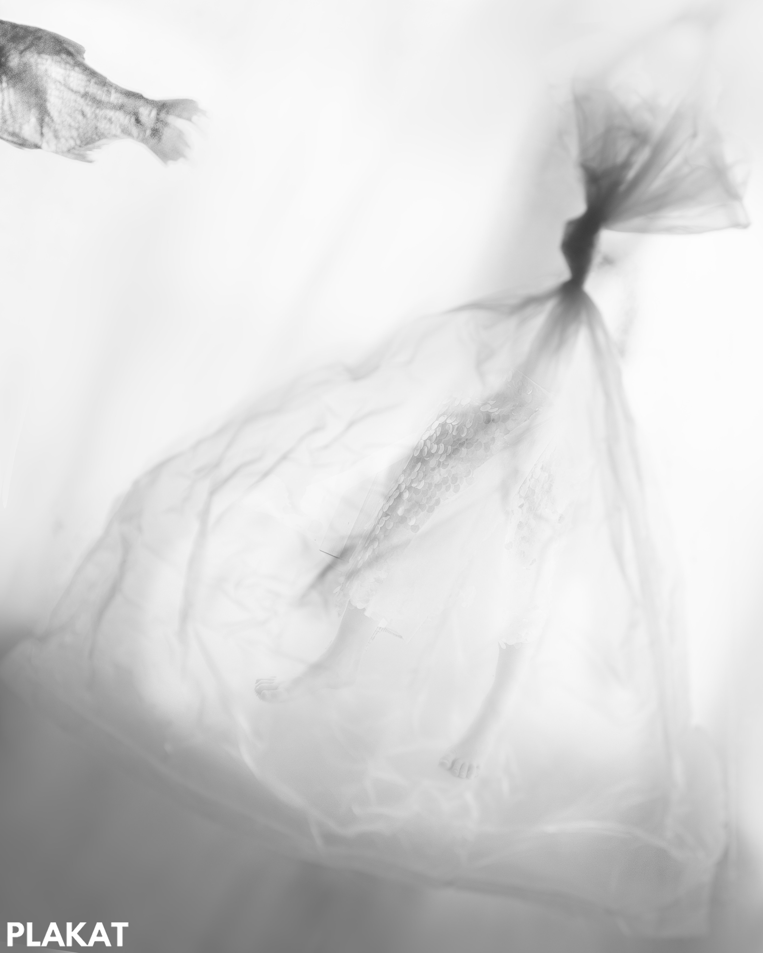 @mariamanyshkinaphoto