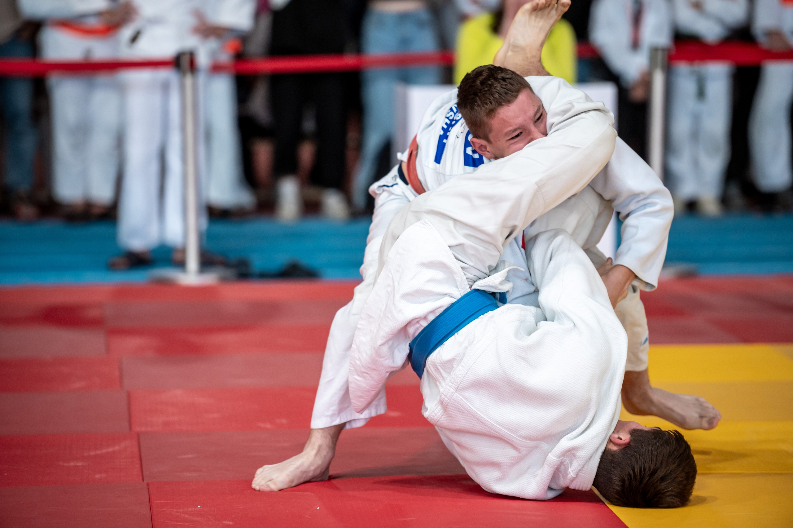 Турнир по дзюдо «Тульский левша», сентябрь 2024. Спортивный фотограф в Туле и Тульской области. Файсханова Фото Спорт