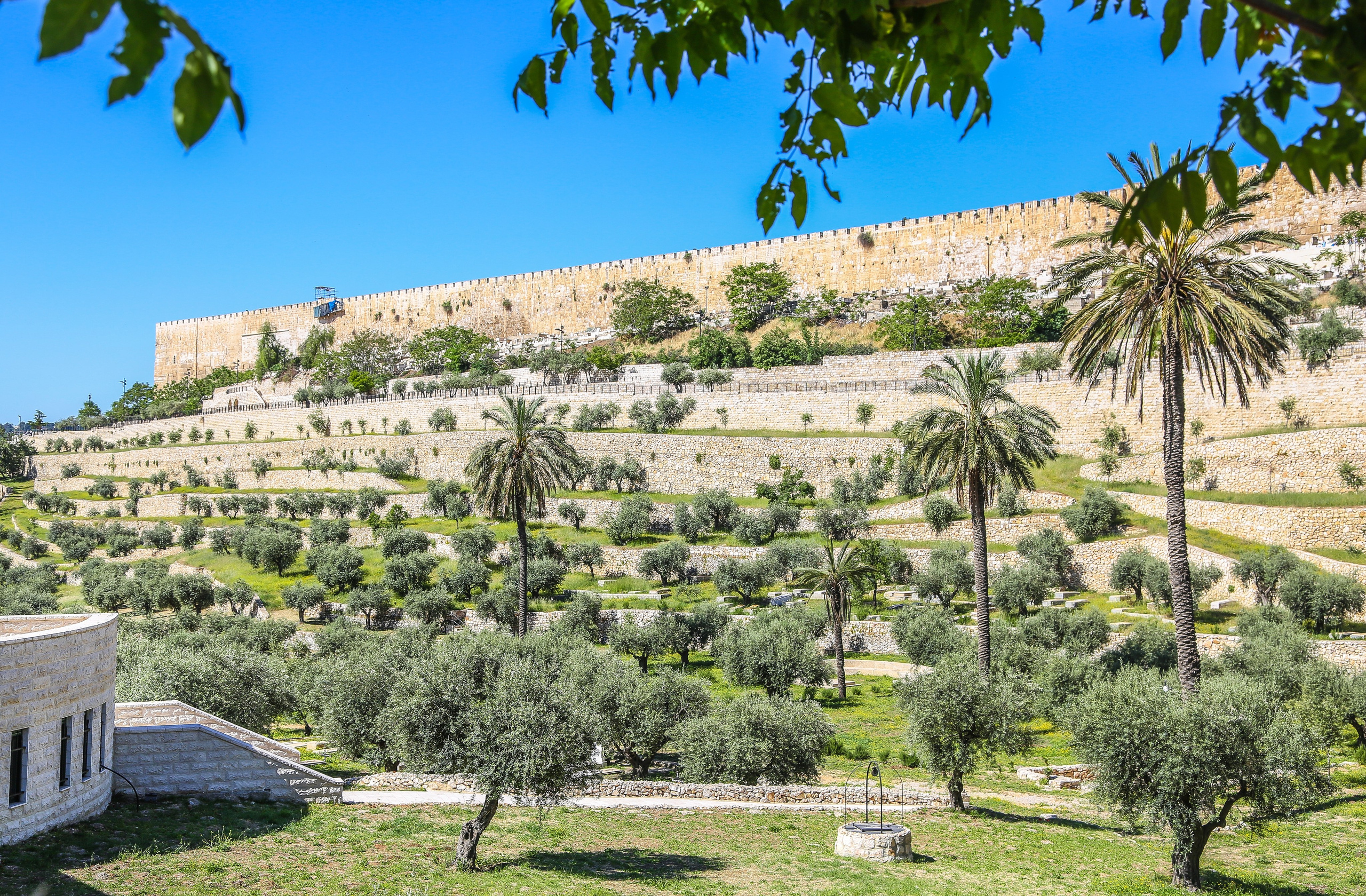 Израиль: Иерусалим. Дарья Письменюк / Darya Leitstern — фотограф, музыкант, журналист, путешественник