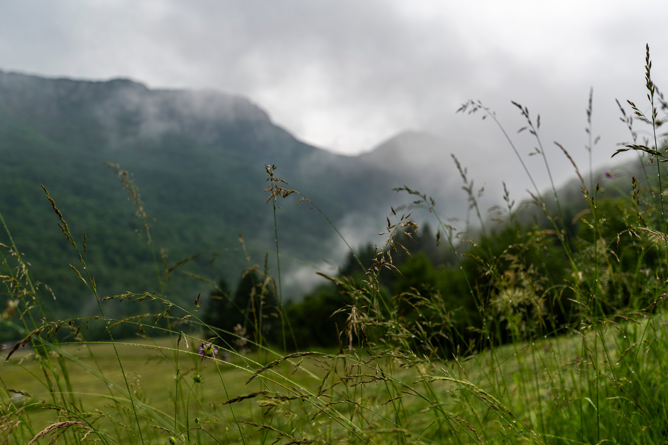 Босния. Фотограф в Москве. Шахабудин