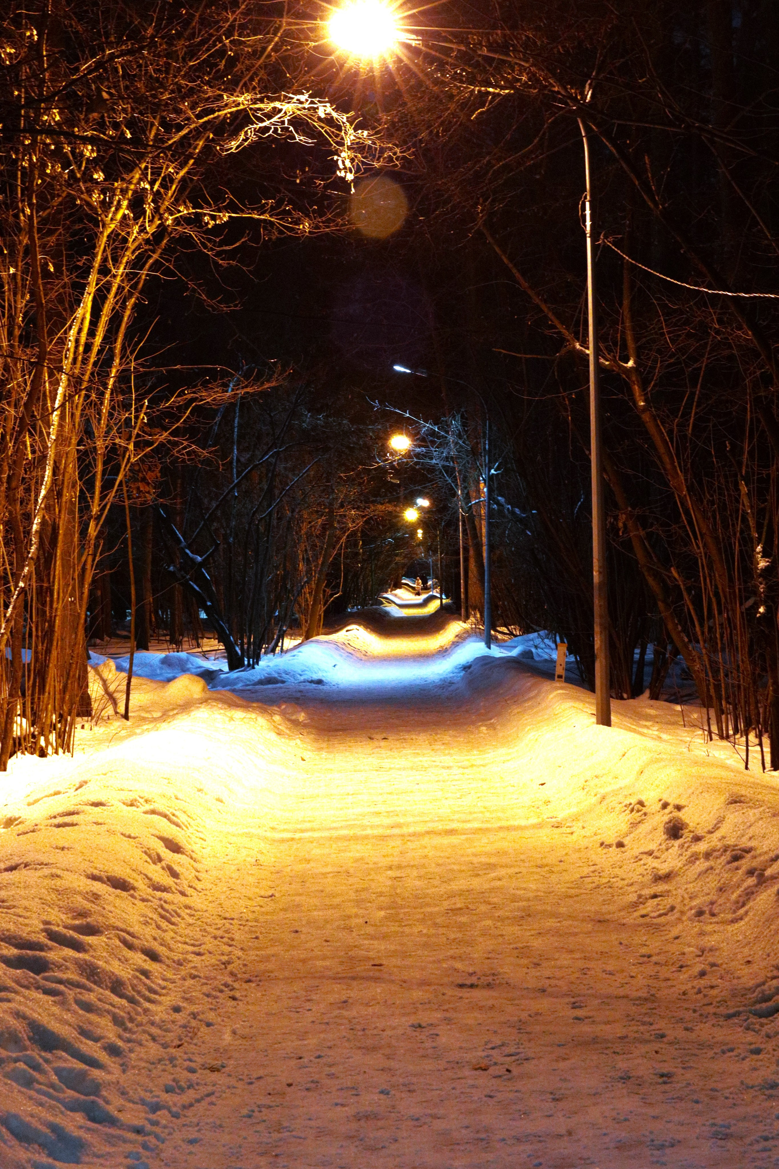 Прогулка цвет. Фотограф художник модель Юра Козлов Москва