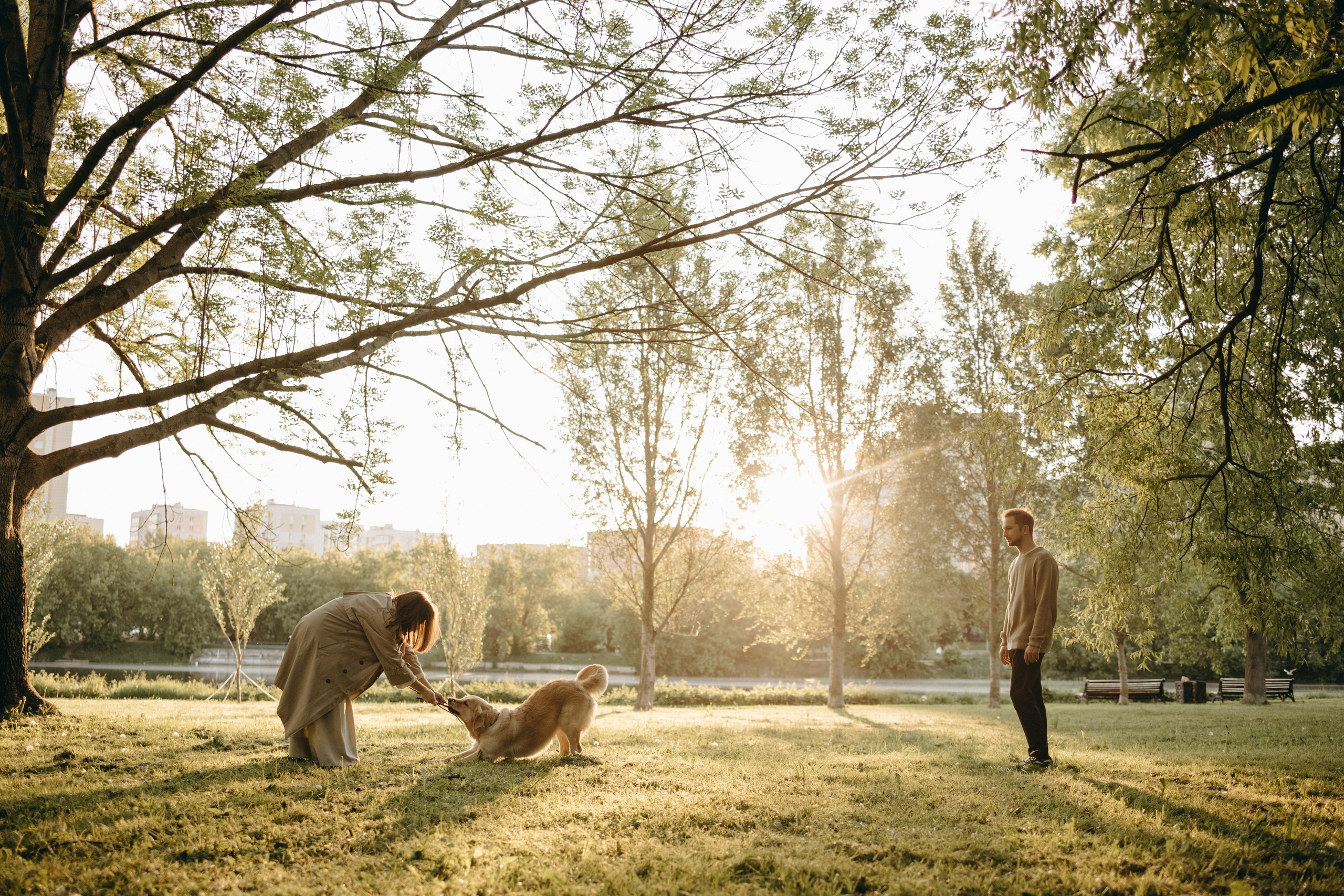 Пенни и ребята. Фотограф — Анималист | Санкт-Петербург
