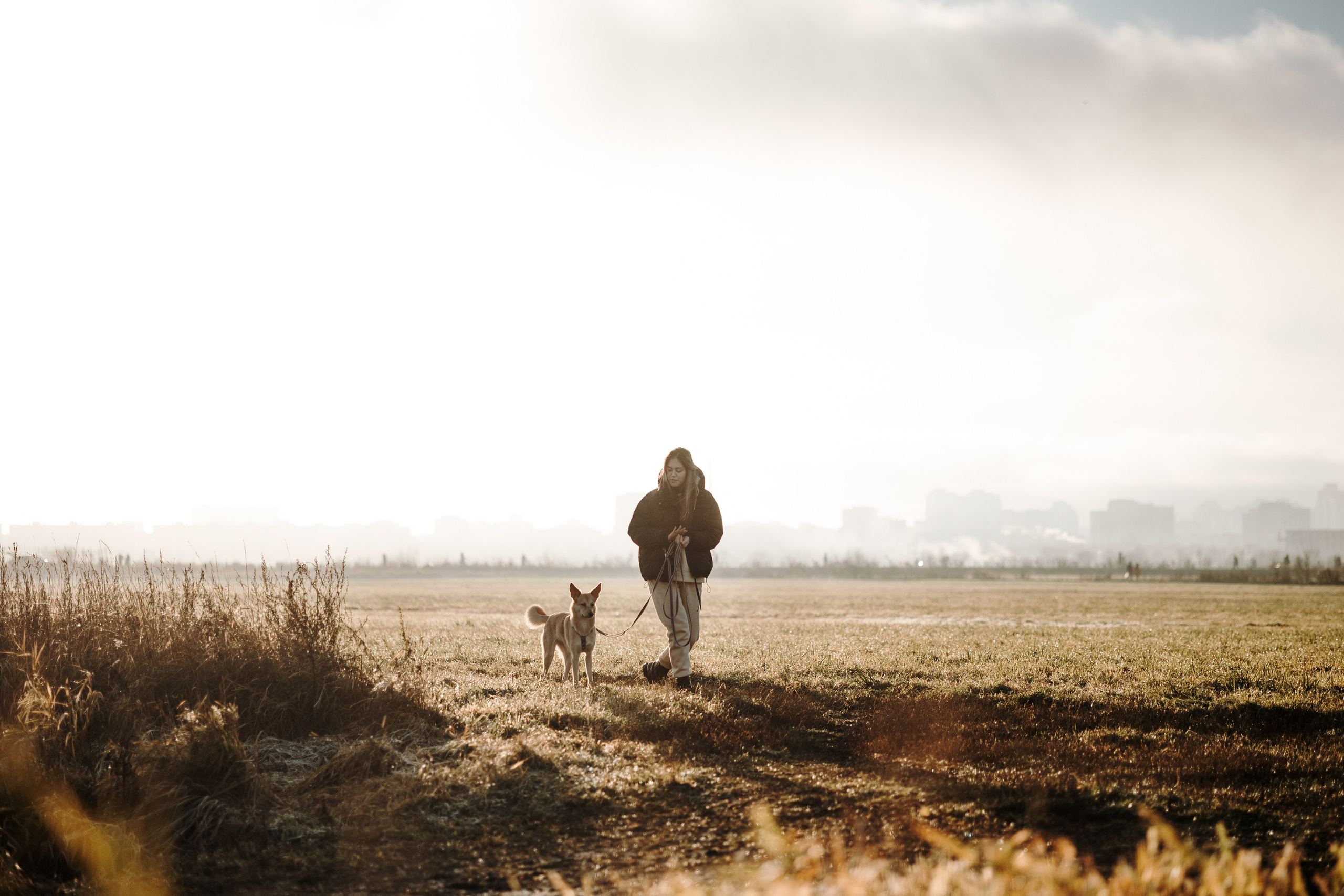 Юля и Джесси. Фотограф — Анималист | Санкт-Петербург