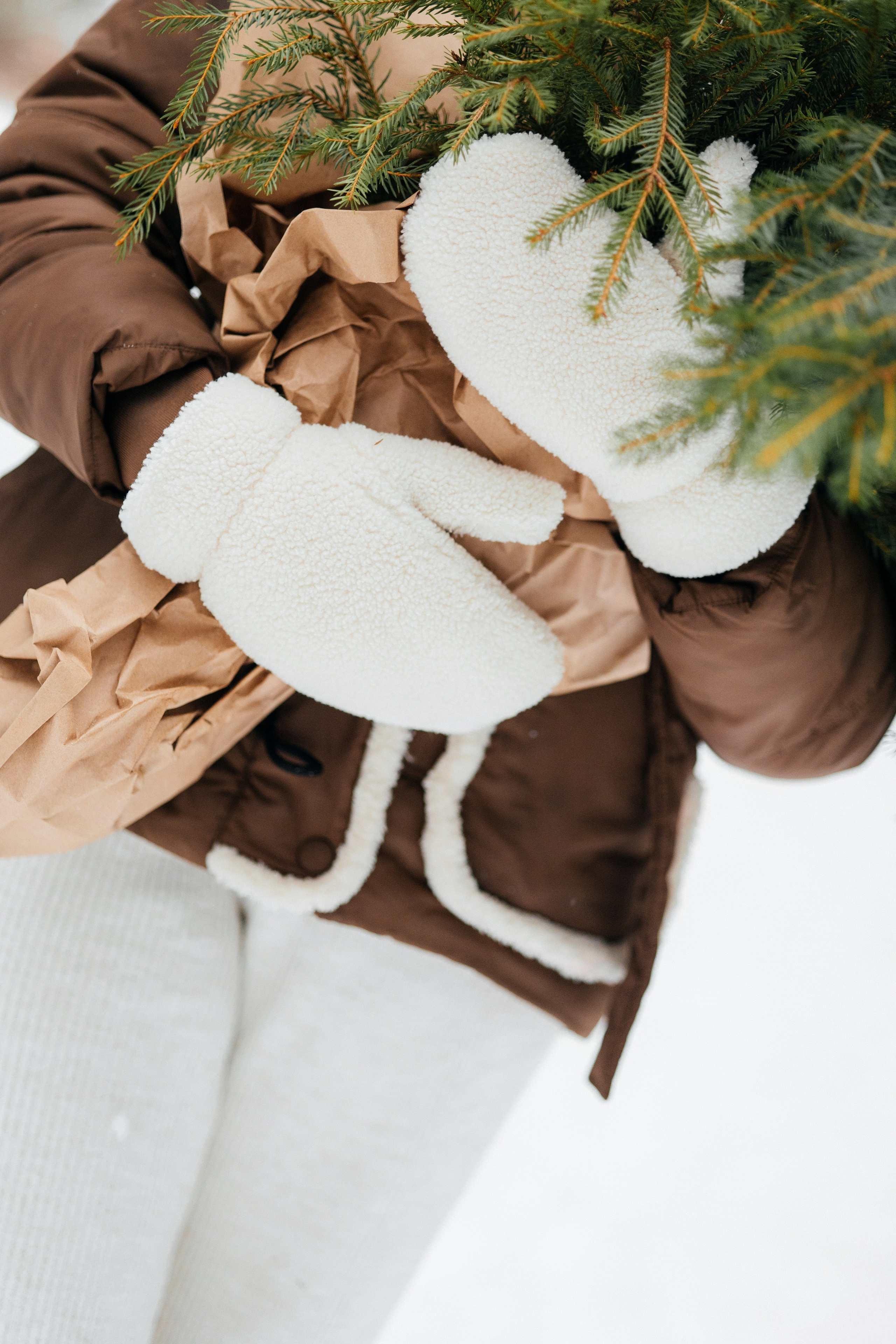Прогулка в лесу. Свадебный фотограф Минск РБ
