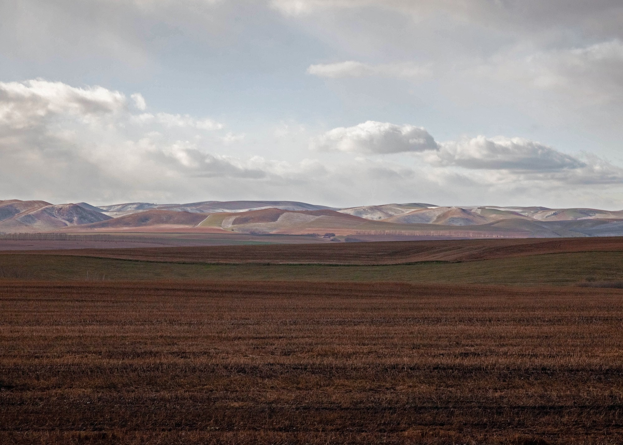 Природа и пейзажи / Nature and landscapes. Visual artist Olga Burmistrova