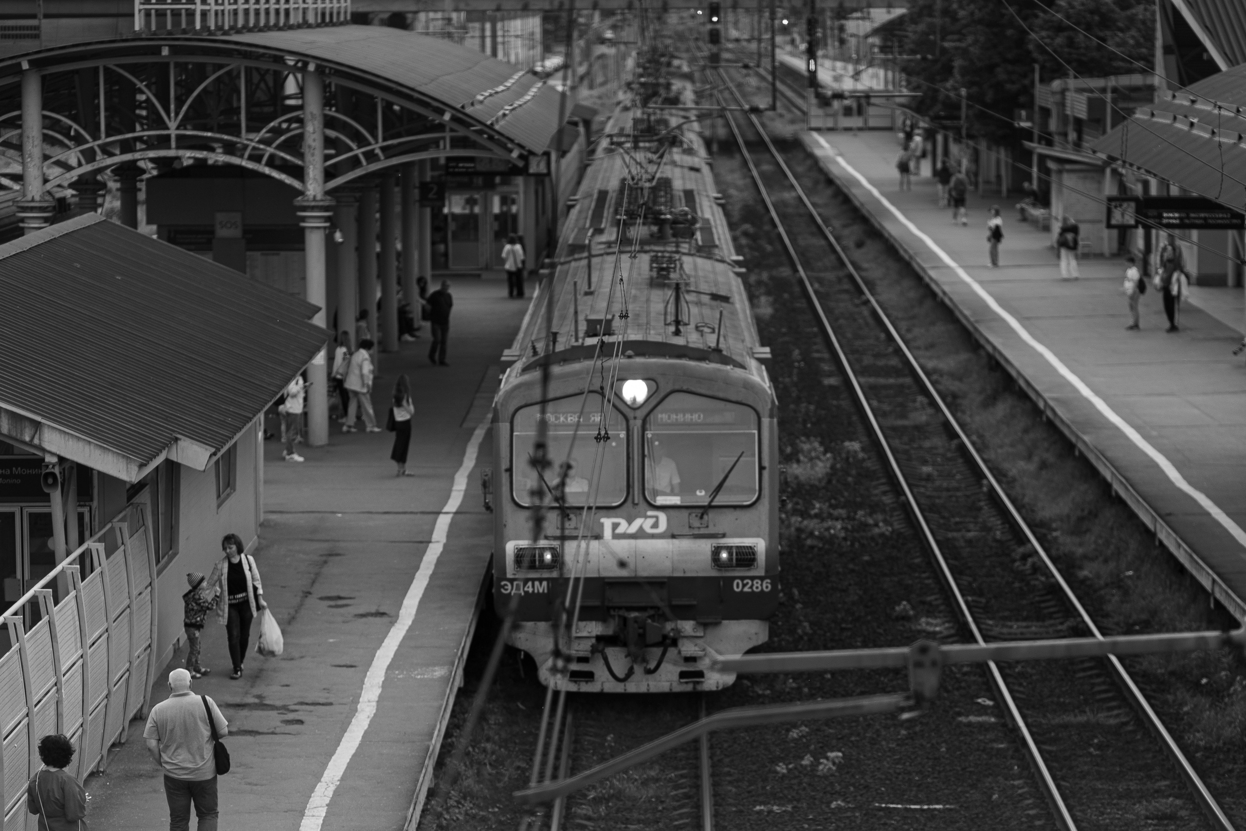 Стрит. Портретный фотограф в Москве Мальцев Максим