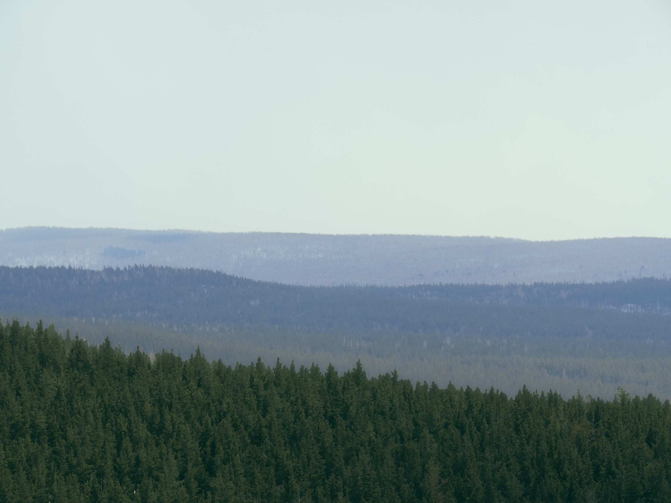 Сайт в процессе разработки