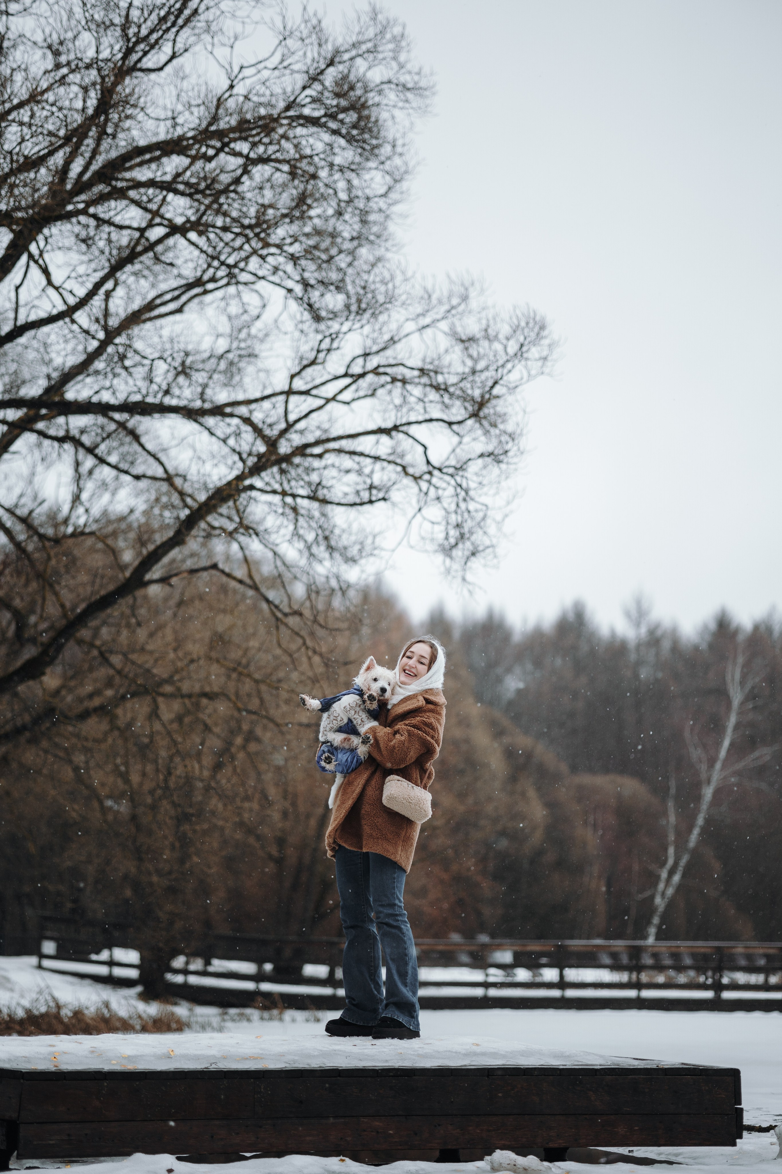 Шелби, Ватсон и ребята. Фотограф — Анималист | Санкт-Петербург