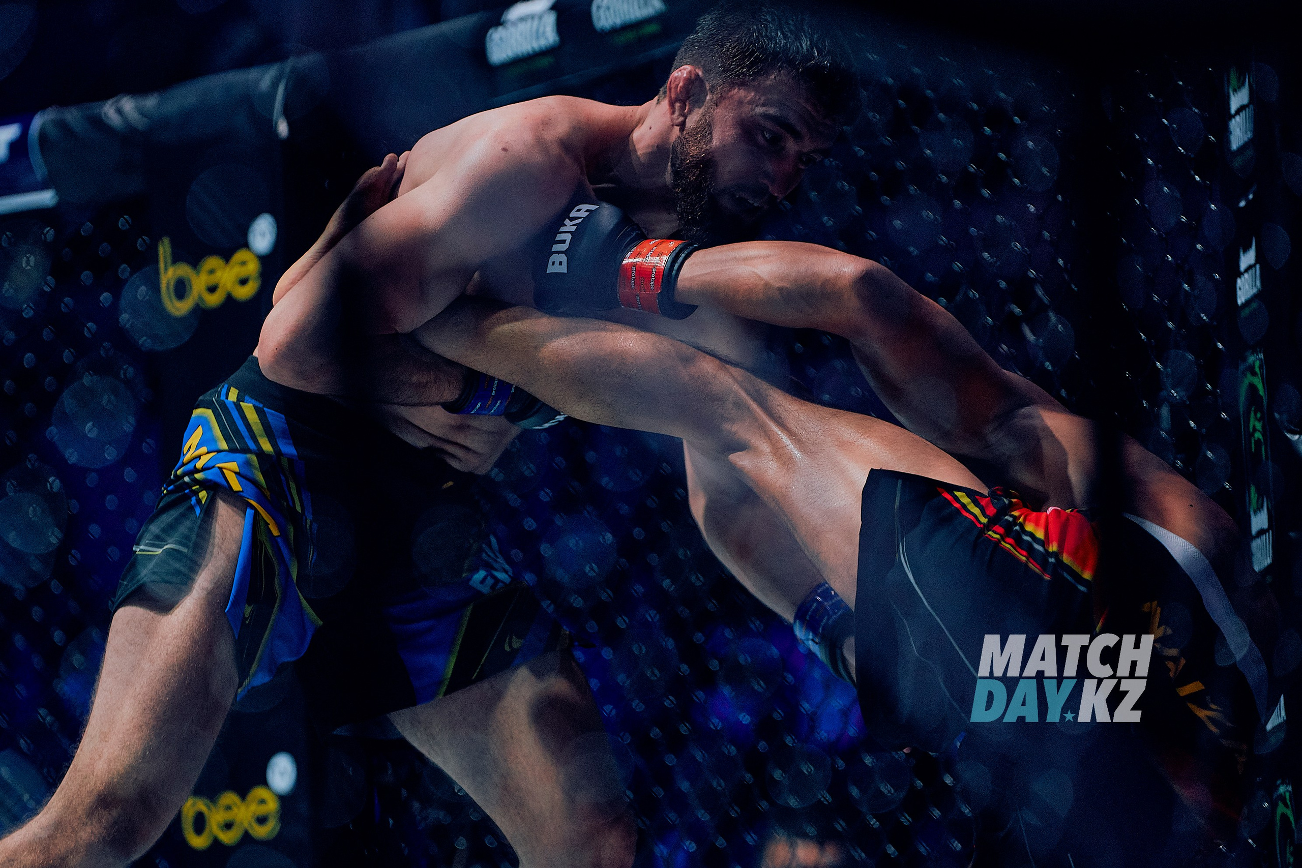 Naiza MMA (Astana) 6 December 2023. Professional photo & Event agency (Kazakhstan, Astana)