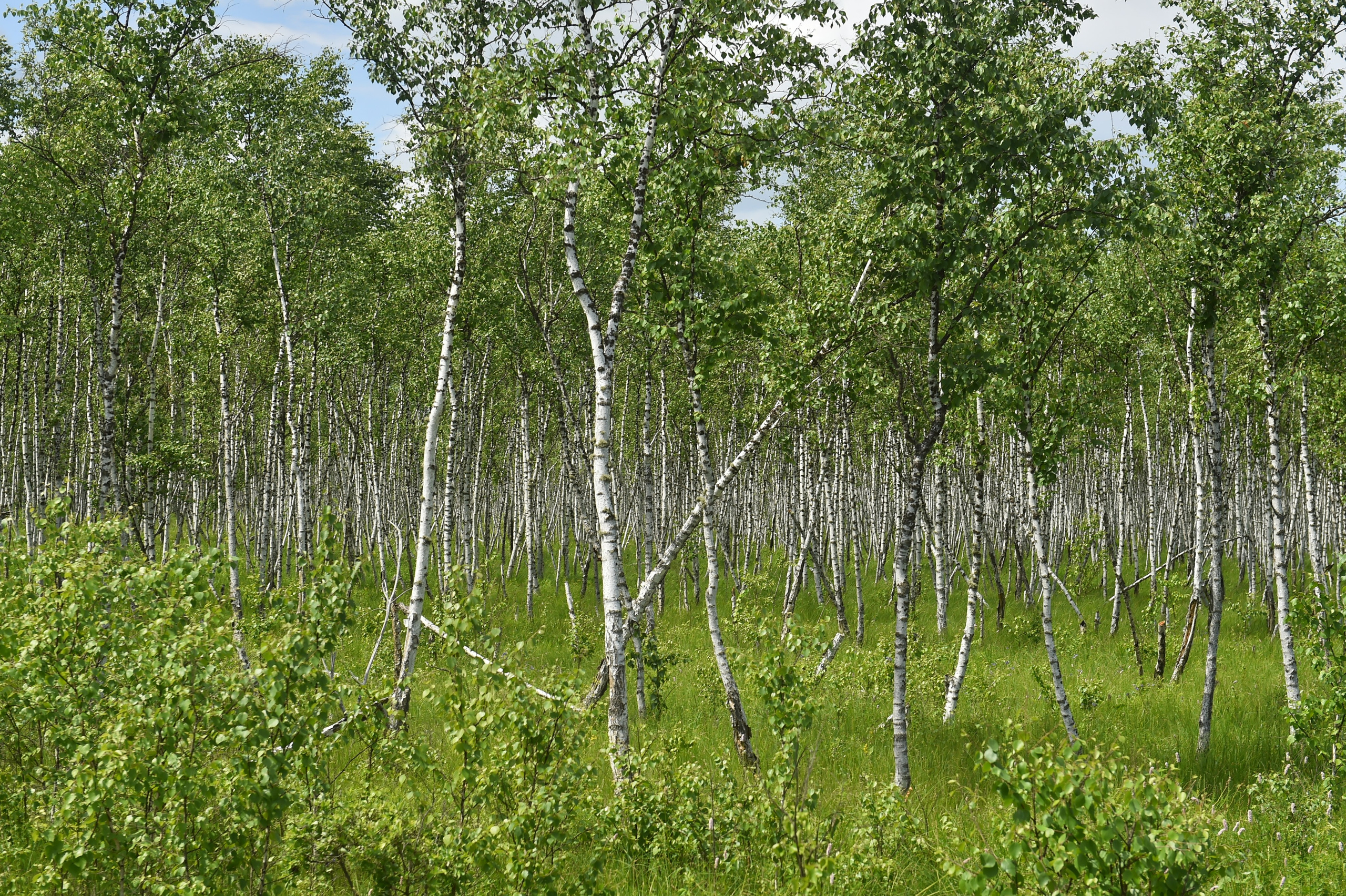 «Пока течет большая вода». Документальный и коммерческий фотограф Влад Некрасов