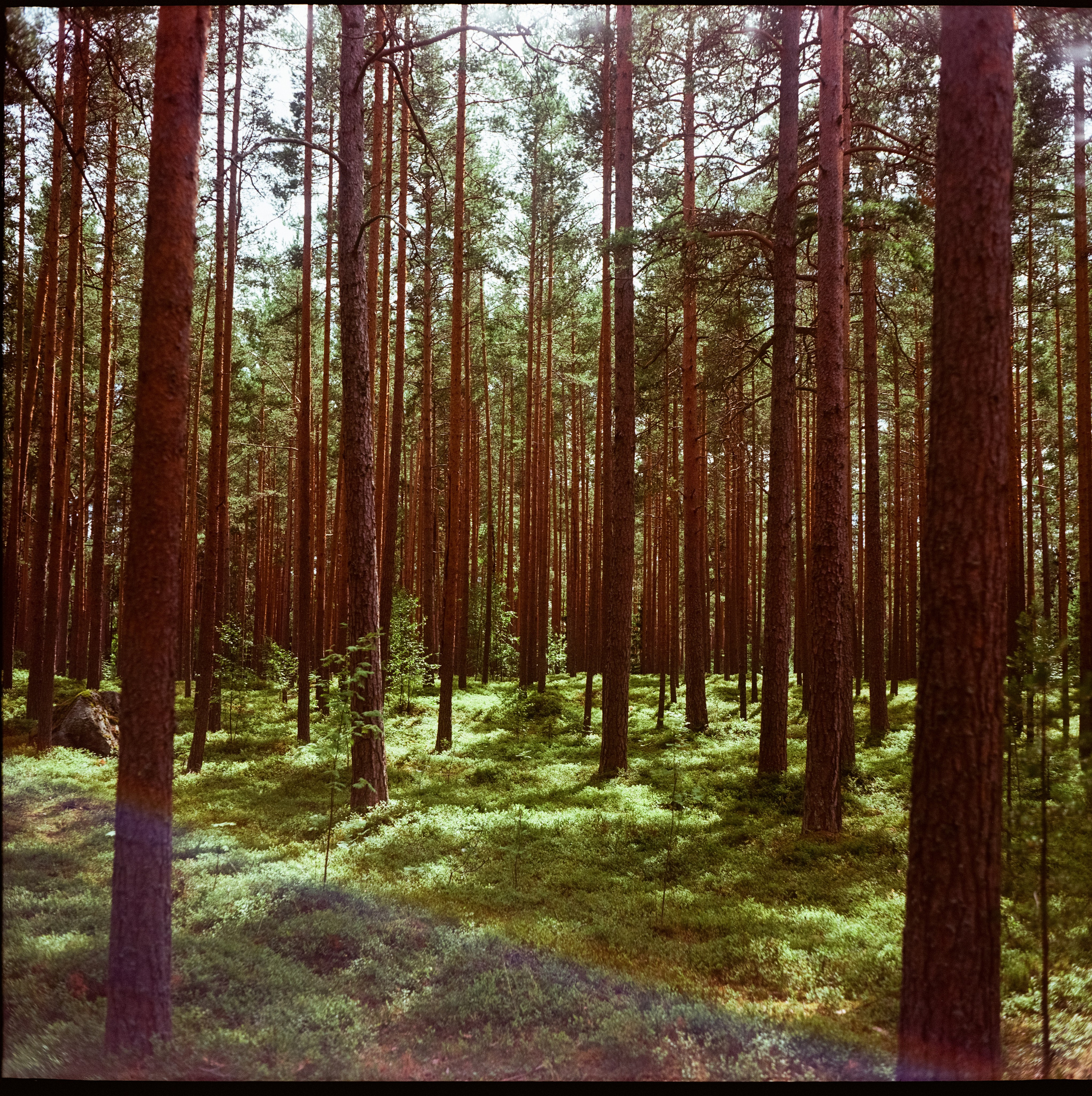 Коневский монастырь / Kodak Ektar 100 (просрочка) / Super Fujica-6