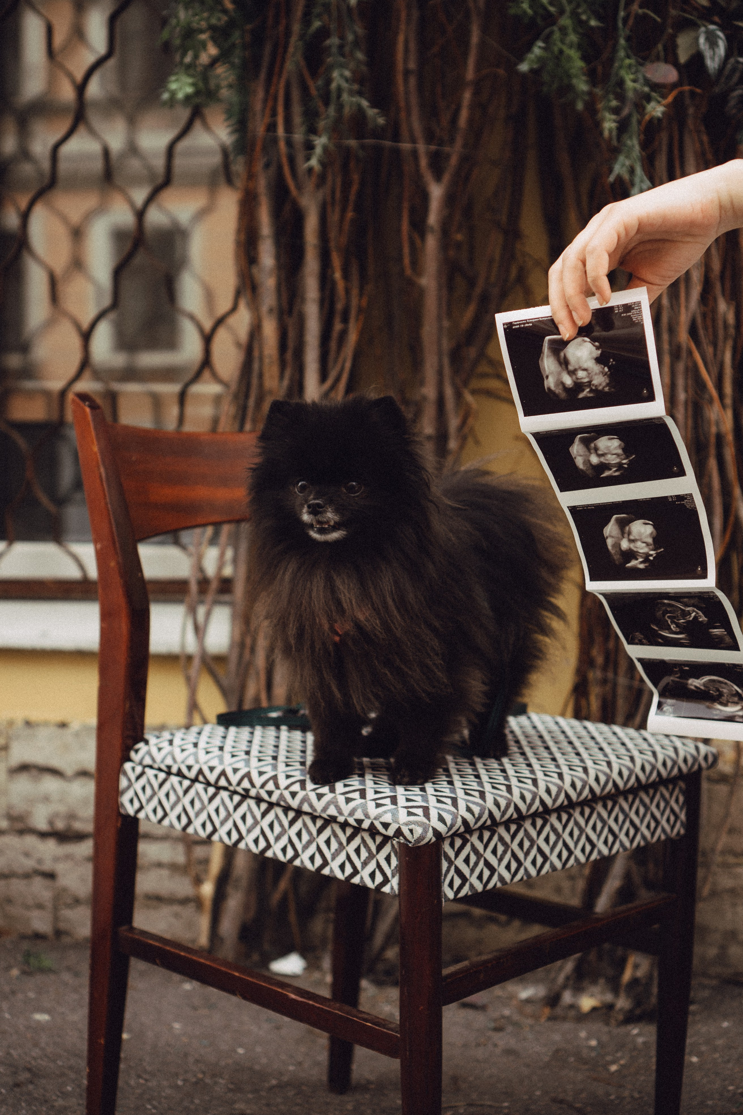 Беременность (только часть фото по желанию клиентов могу показать)). Профессиональный фотограф, Санкт-Петербург — Виктория Богомолова