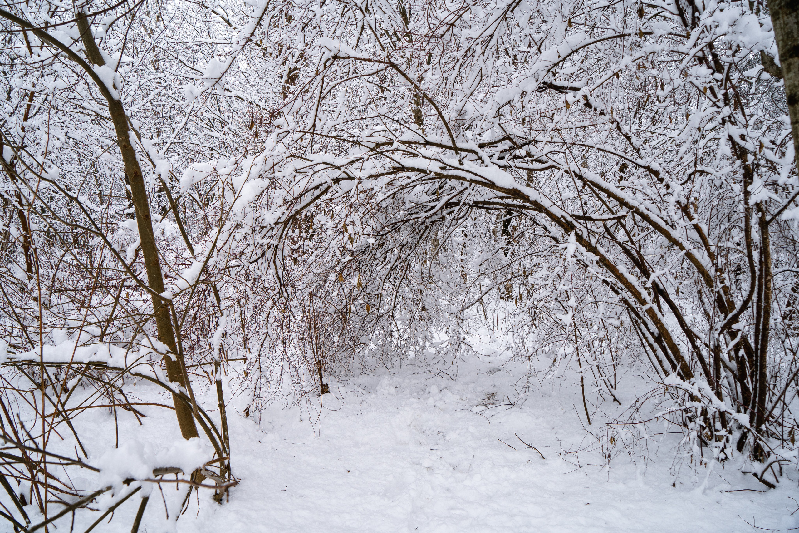 Зима 2024. Свадебный и семейный фотограф/видеограф в Краснодаре Наталья Осинская