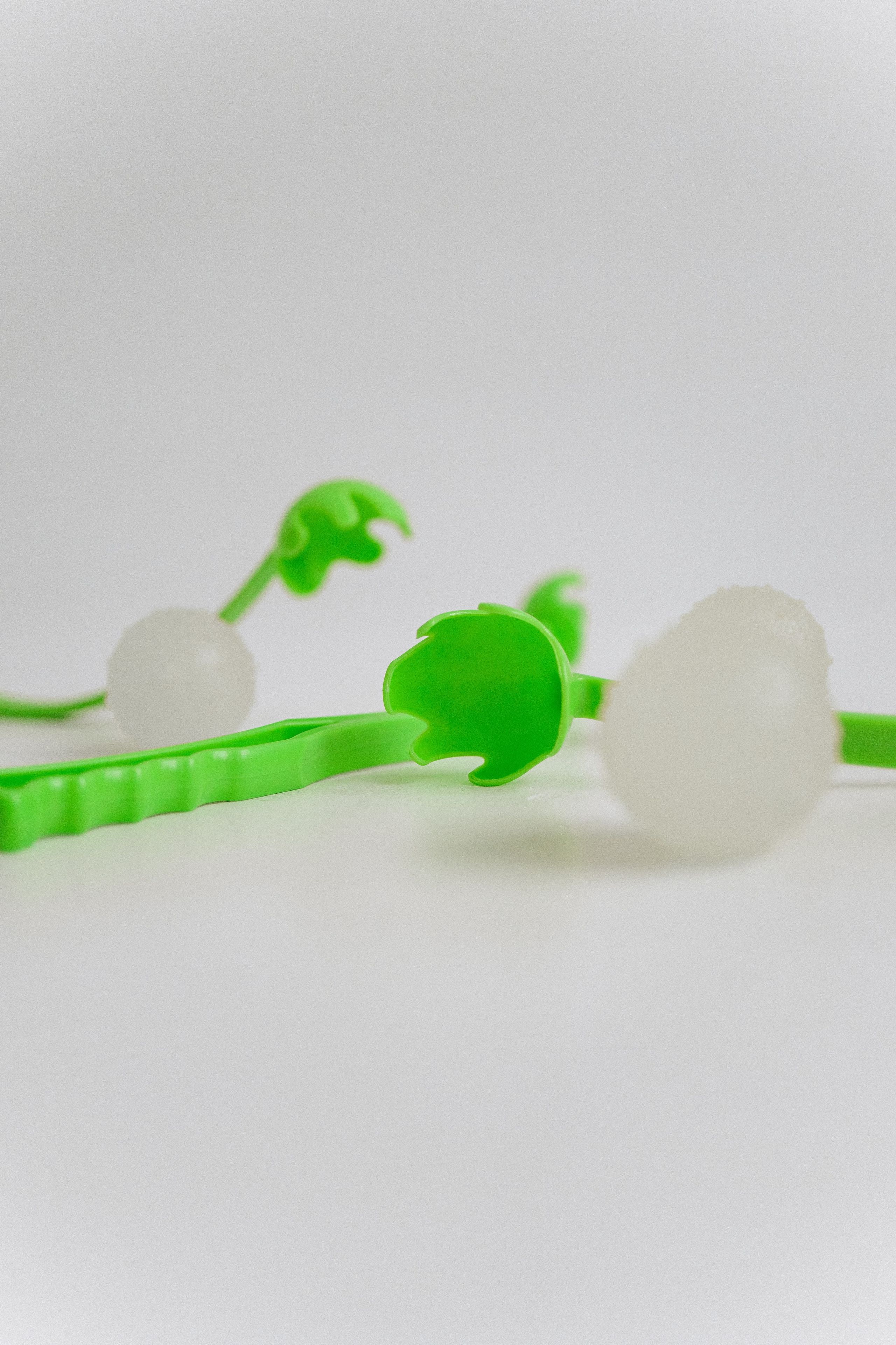 Катапульты. Фотораф — анималист Мария Шистка