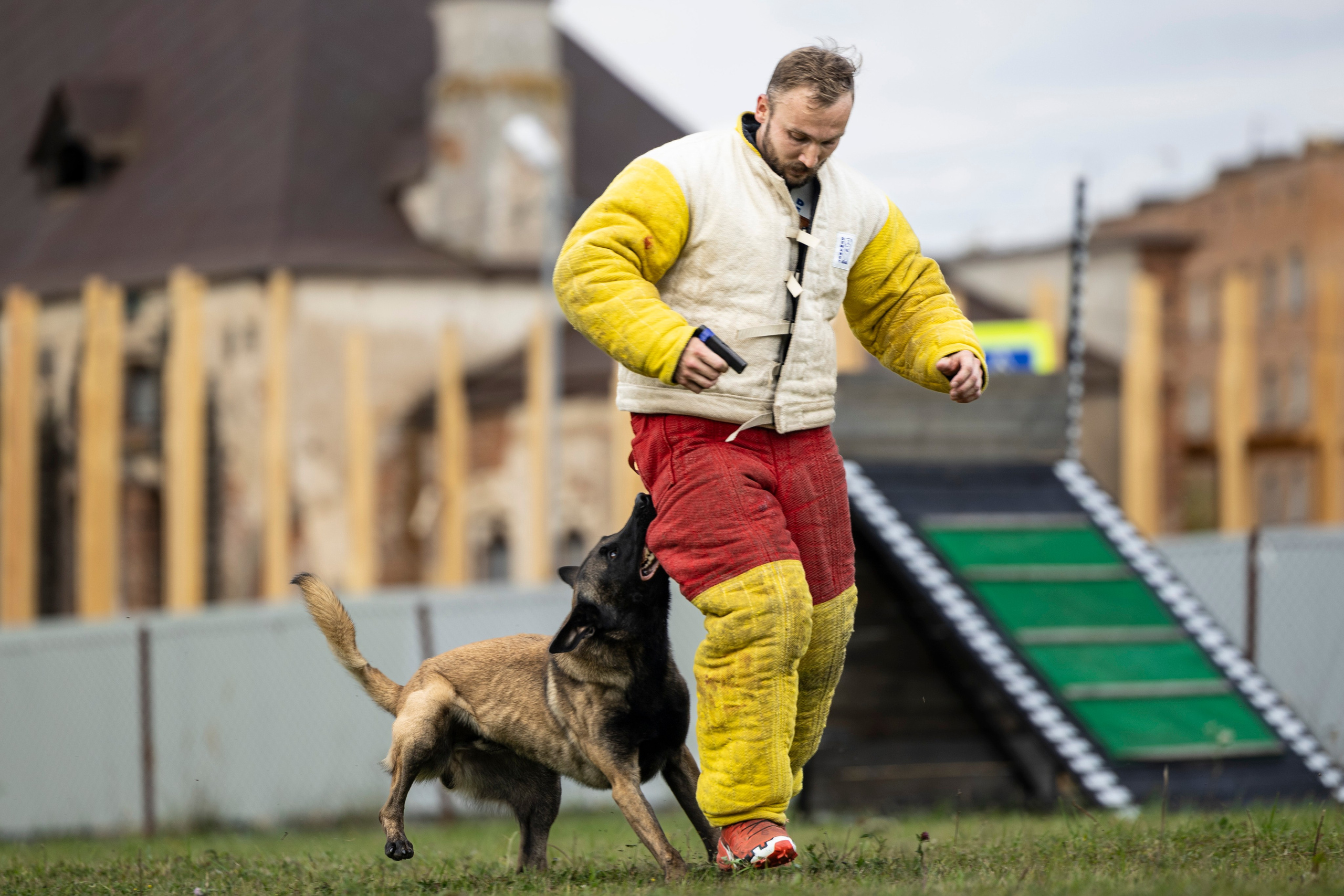 Испытания по Мондьорингу г. Пушкин. Фотограф-анималист Анна Маринич
