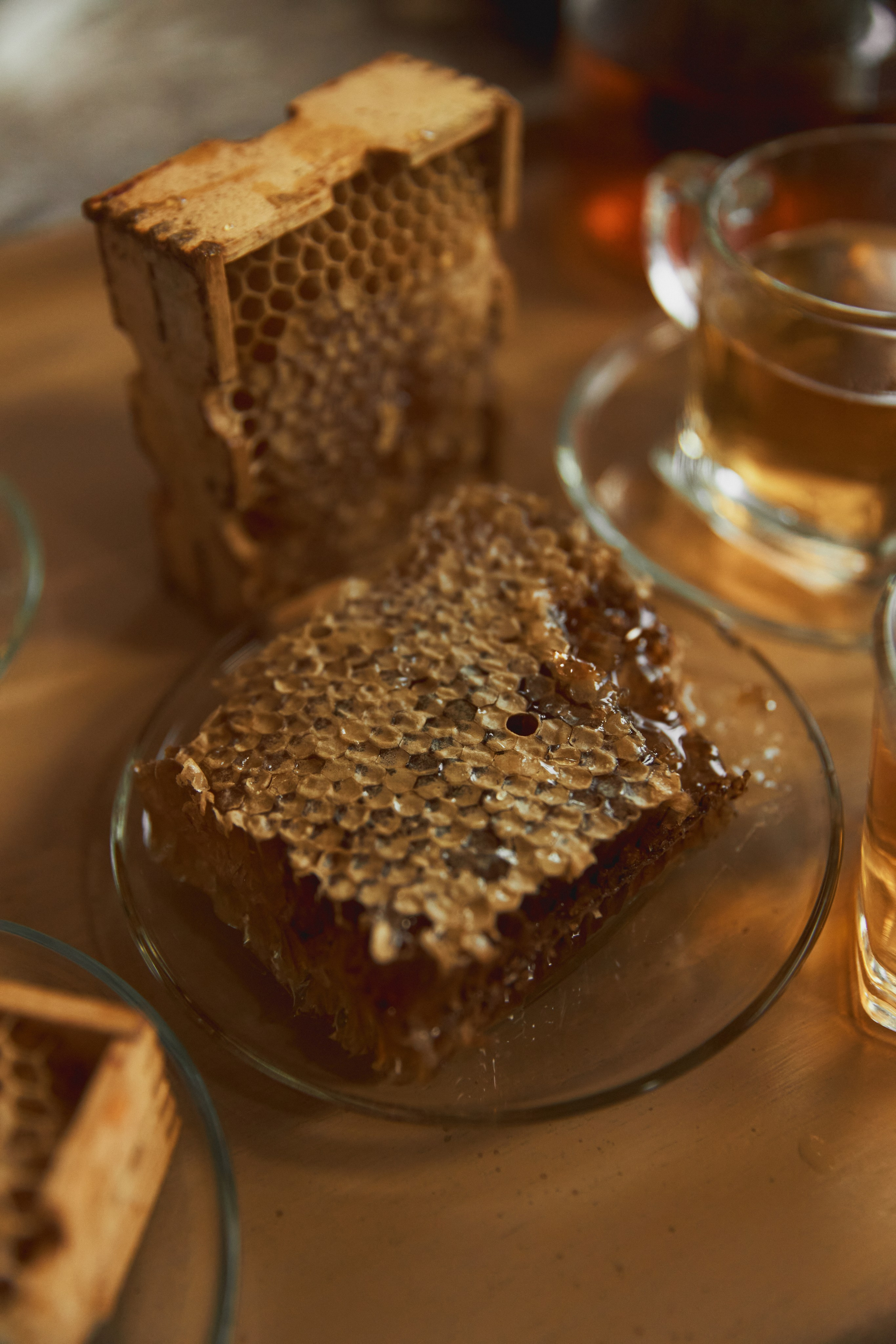 Мед и Дерево. Семейный и свадебный фотограф Лилия Матонина | Ангарск, Иркутск, Усолье-Сибирское, Байкал (Листвянка, Ольхон), Иркутская область