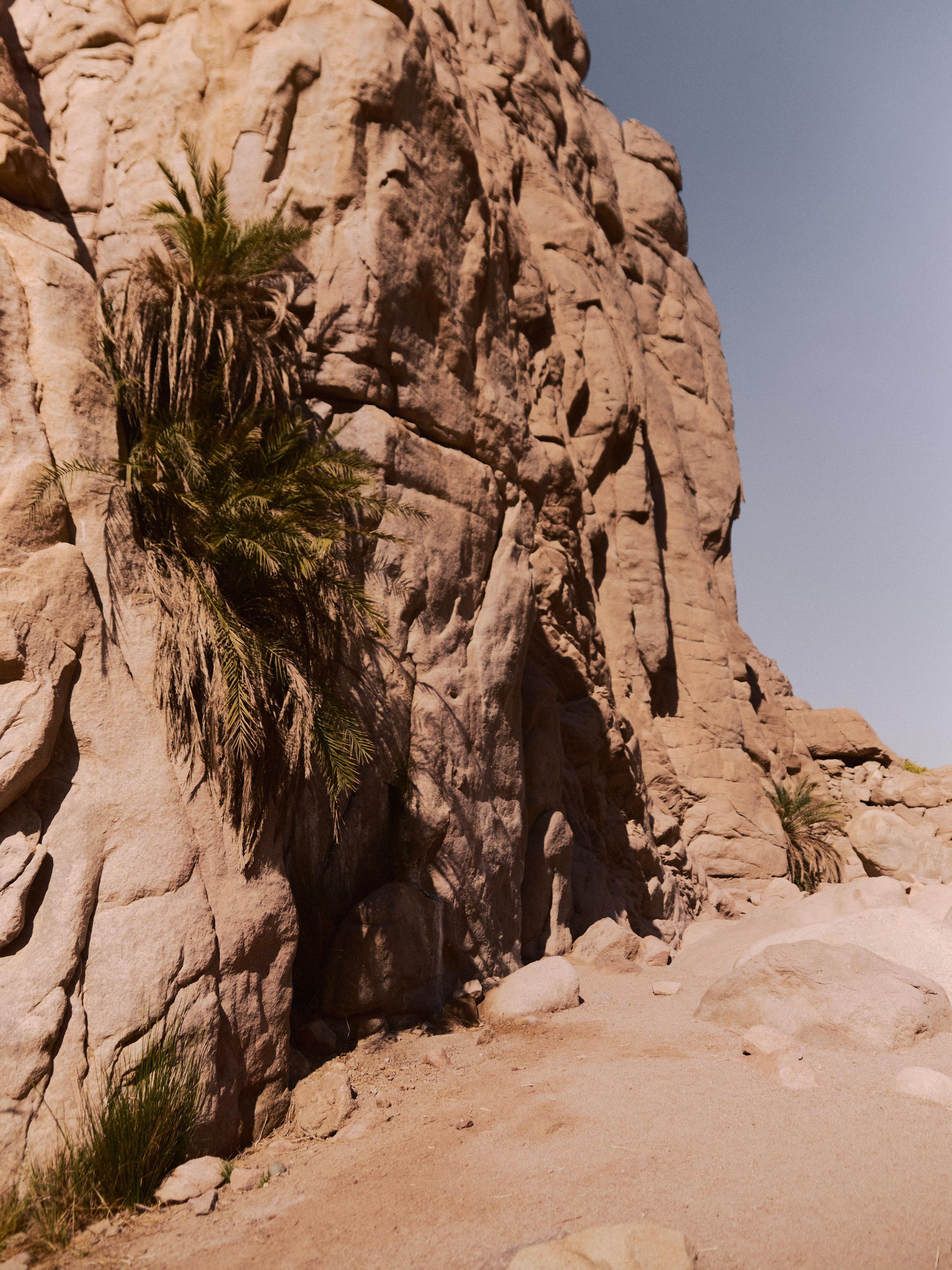 Природа. Jorgis Talè — photographer, kind person, teacher of arts and other mag