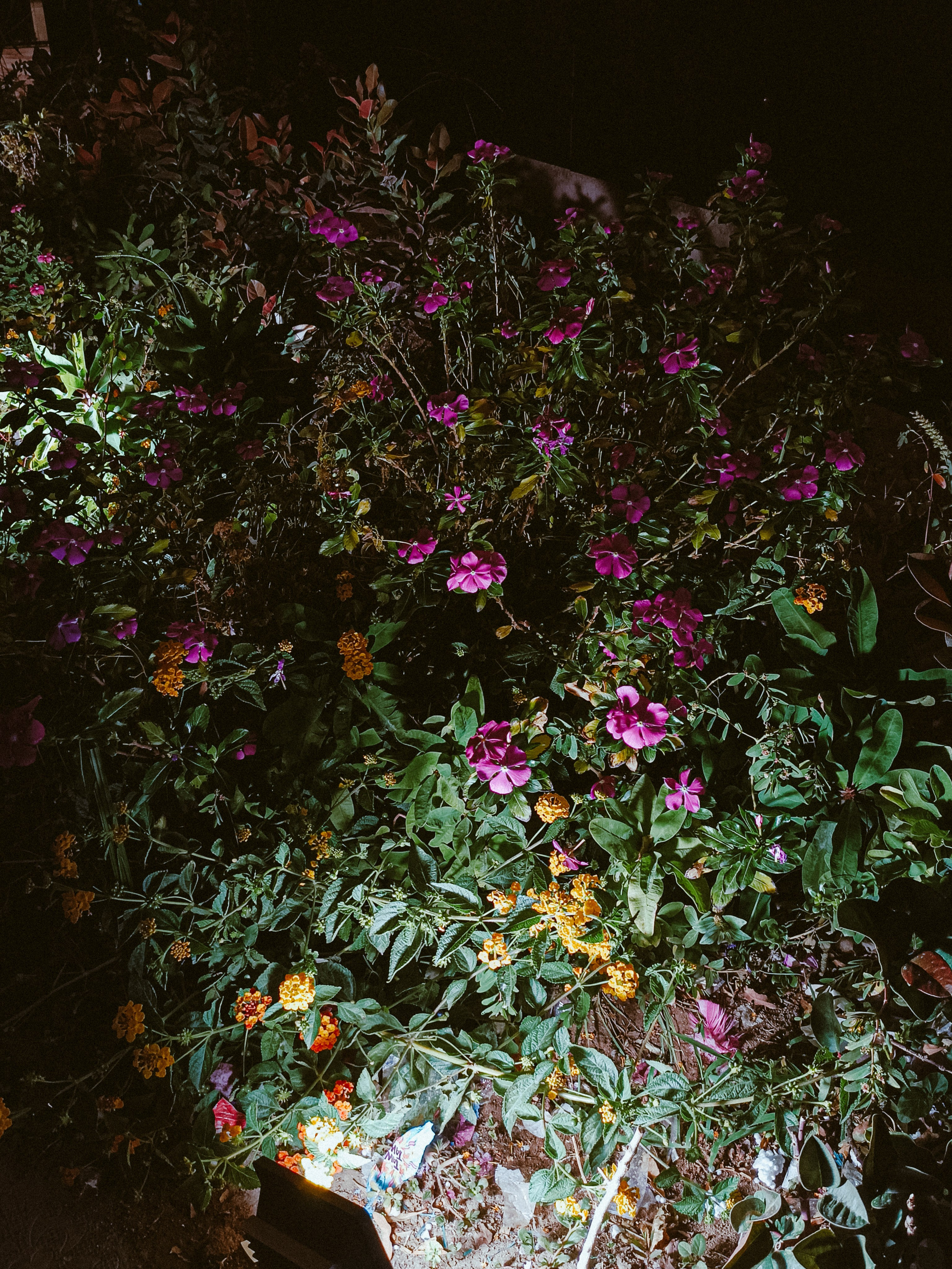 Мобильная. Jorgis — фотограф в Хургаде / обучение фотографии