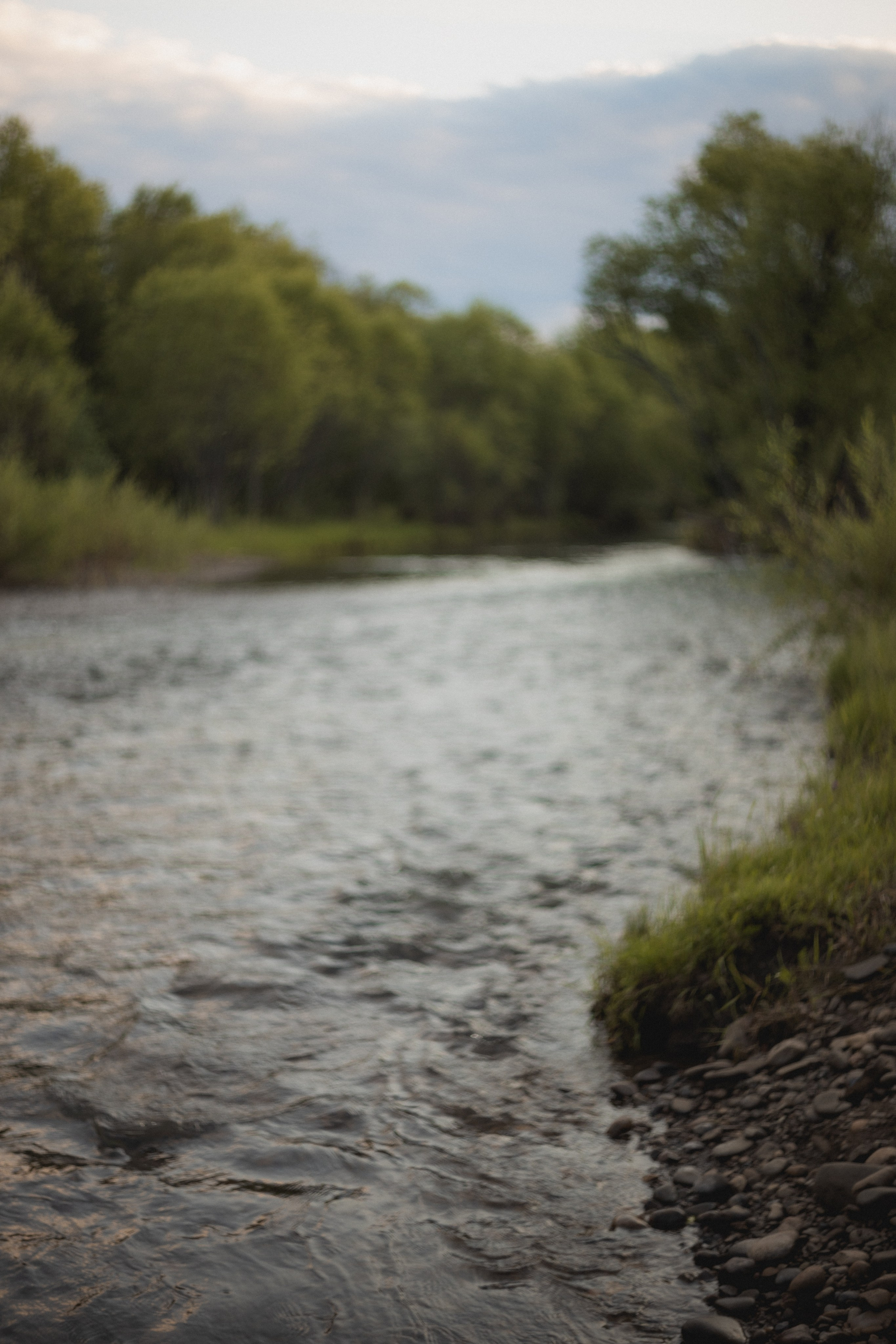 Летняя. Семейный и свадебный фотограф Лилия Матонина | Ангарск, Иркутск, Усолье-Сибирское, Байкал (Листвянка, Ольхон), Иркутская область