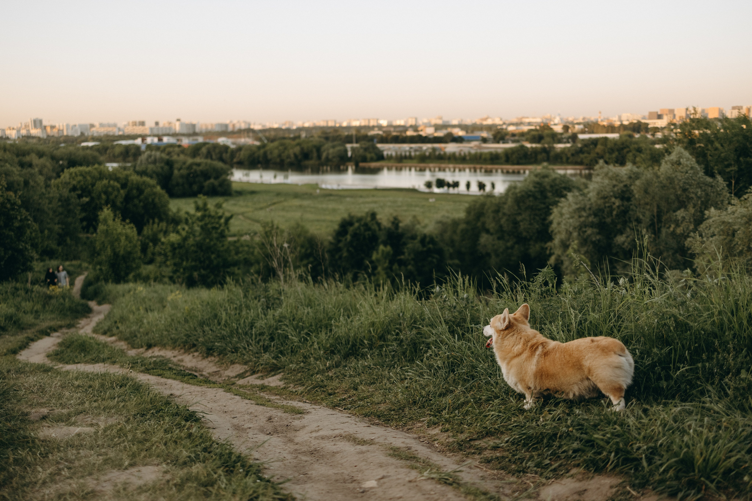Кристина и Шелби. Фотограф — Анималист | Санкт-Петербург