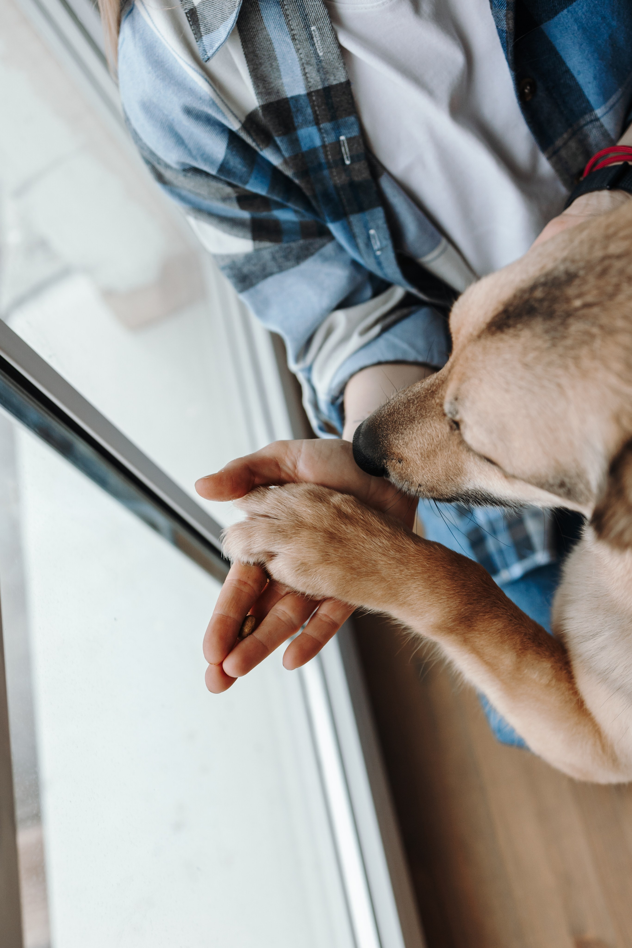 Лена и Дёма. Фотограф — Анималист | Санкт-Петербург