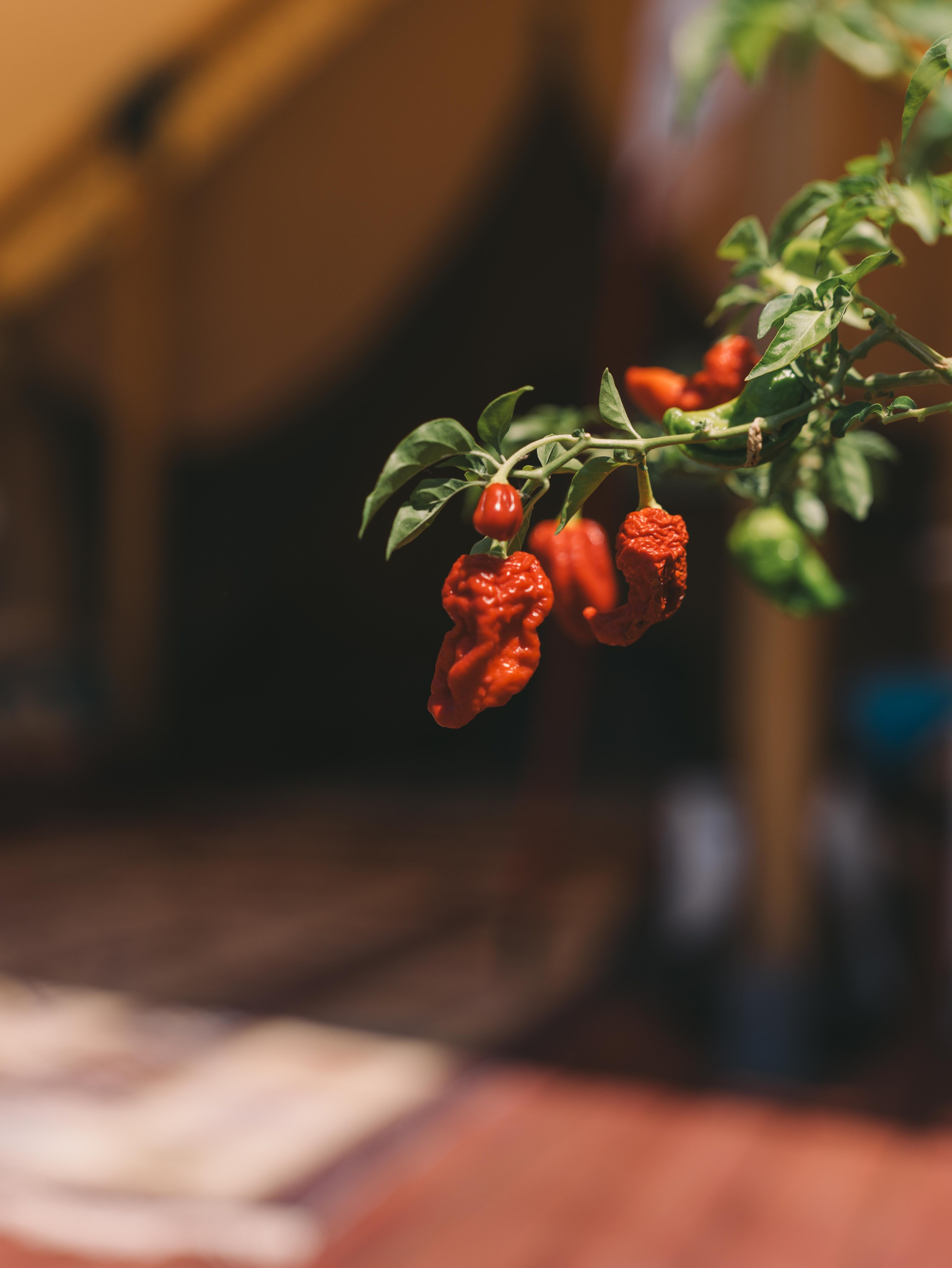 Серия съемок с Almaty Tourism Bureau. Репортажный фотограф в Алматы Цой Сергей