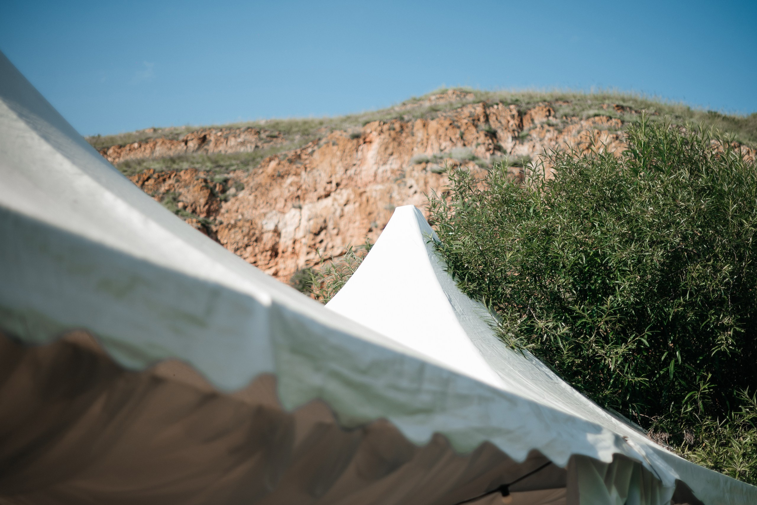 Дмитрий и Анна. Свадебный фотограф