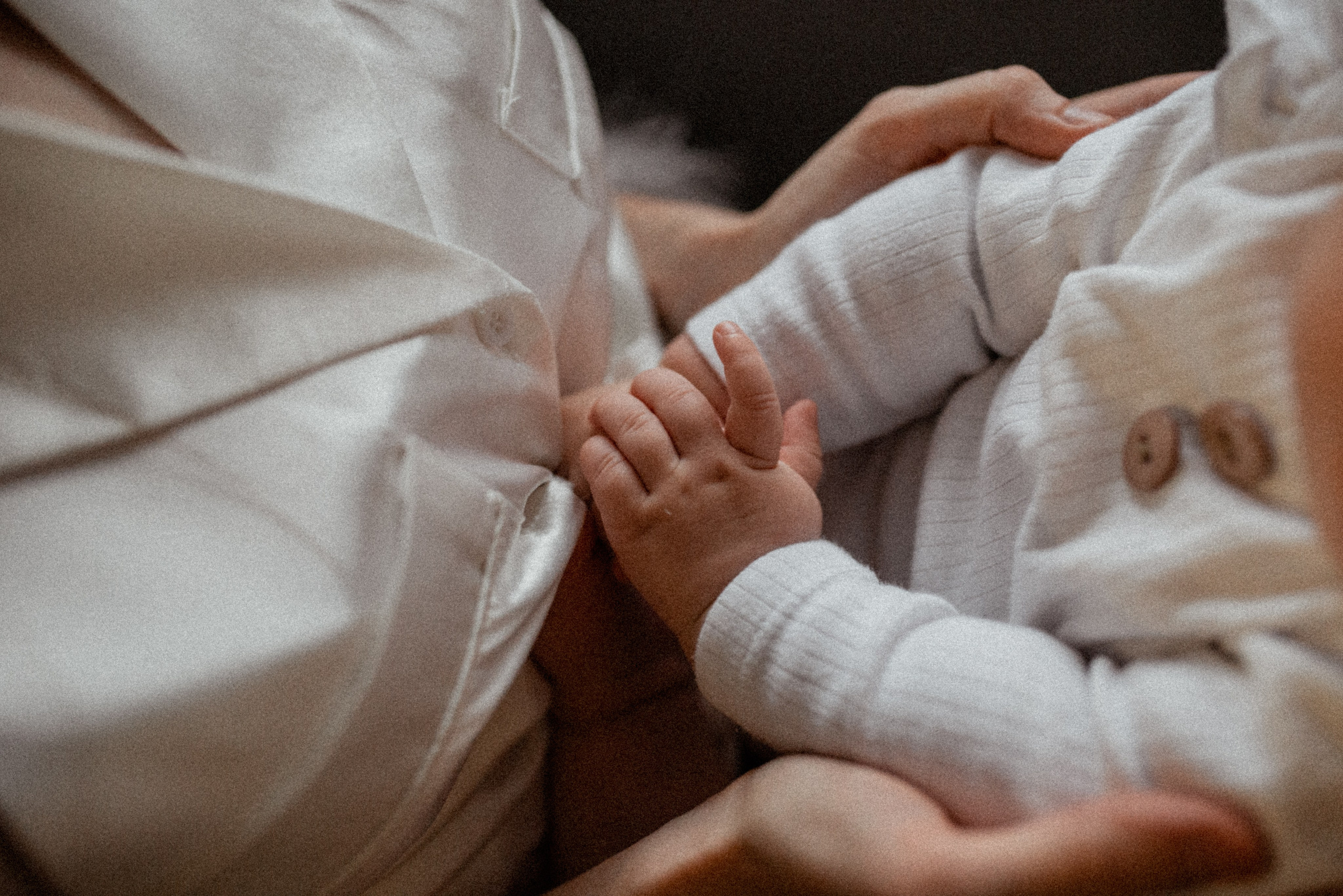 Домашняя 26.11.23. Галина Чекунова Фотограф в Ростове-на-Дону