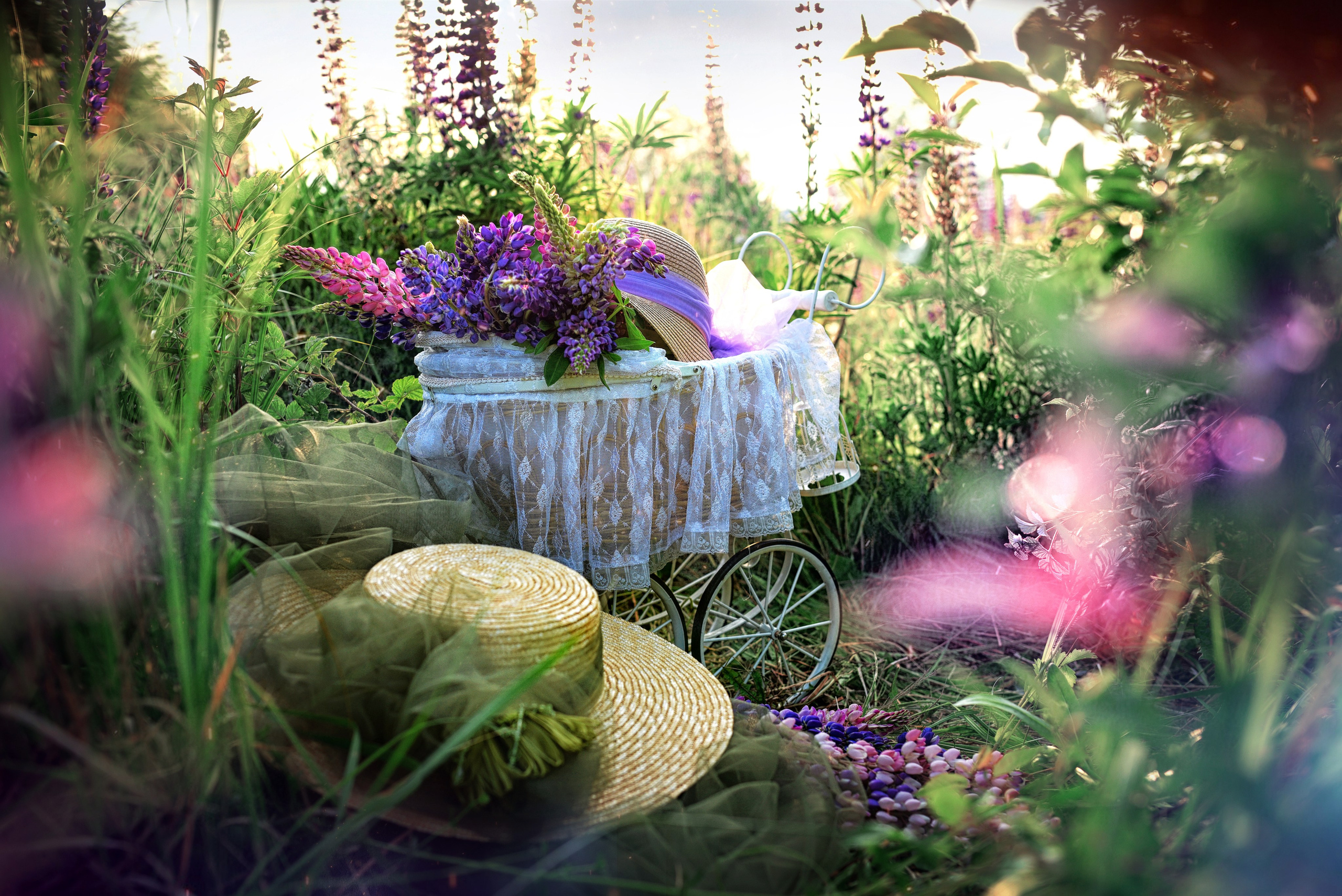 Марина с Алисой в люпинах. 2025. Художественная фотография. Первова Наталья