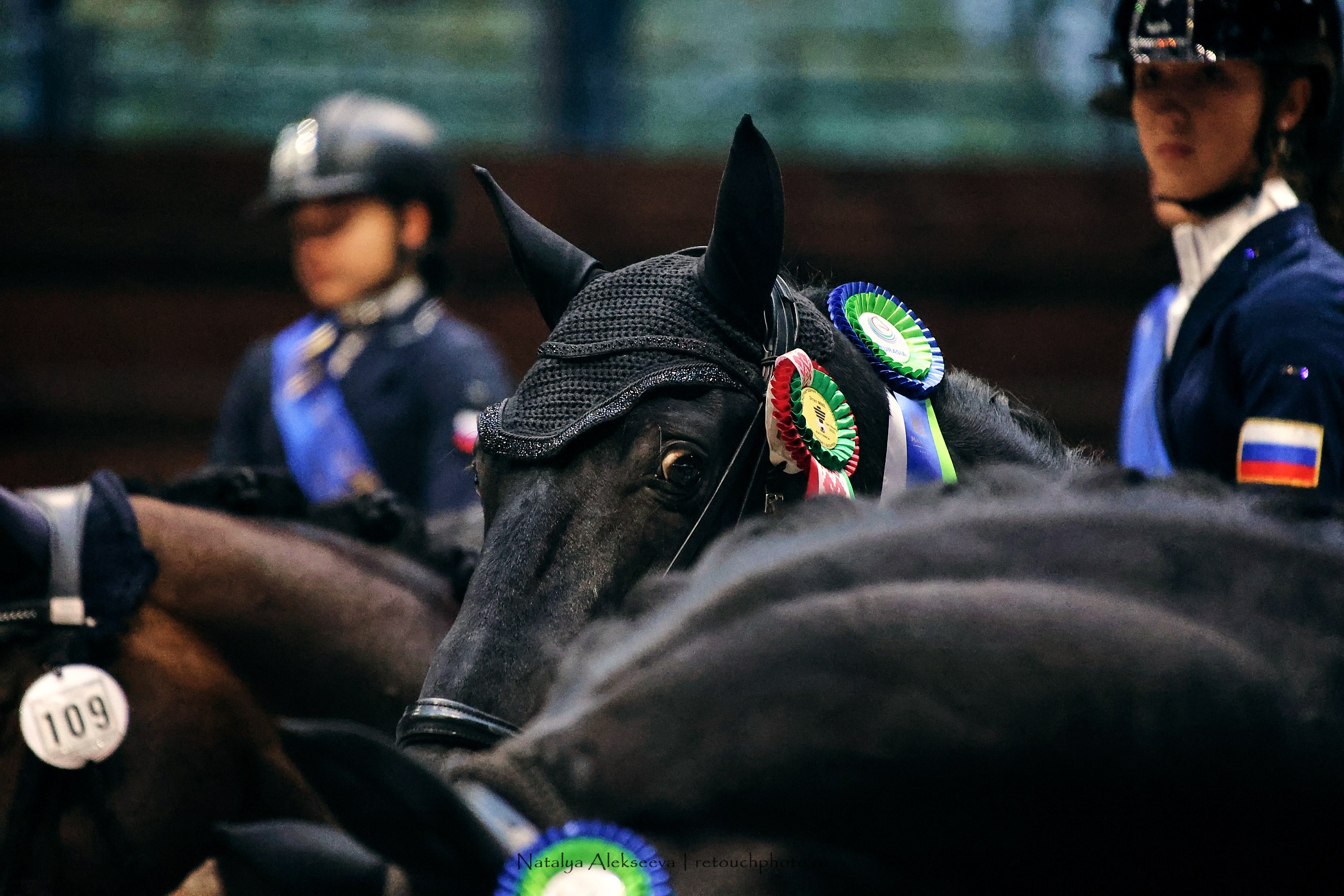 Звезды Евразии по выездке, Минск | 10'2023. Репортажный фотограф и ретушер в Москве Наталья Алексеева