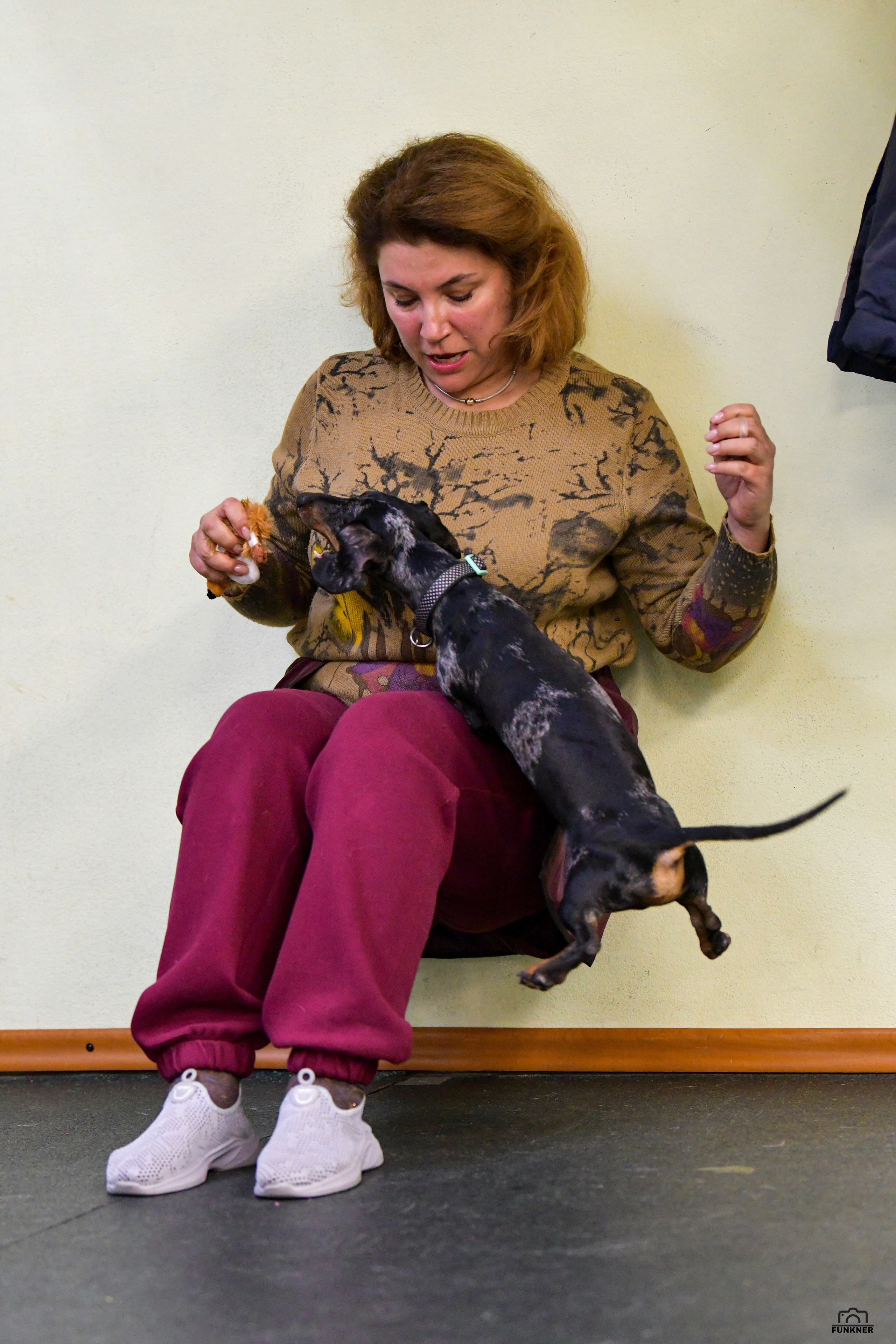 Кинологический клуб «Бодрый хвост». Свой взгляд через объектив