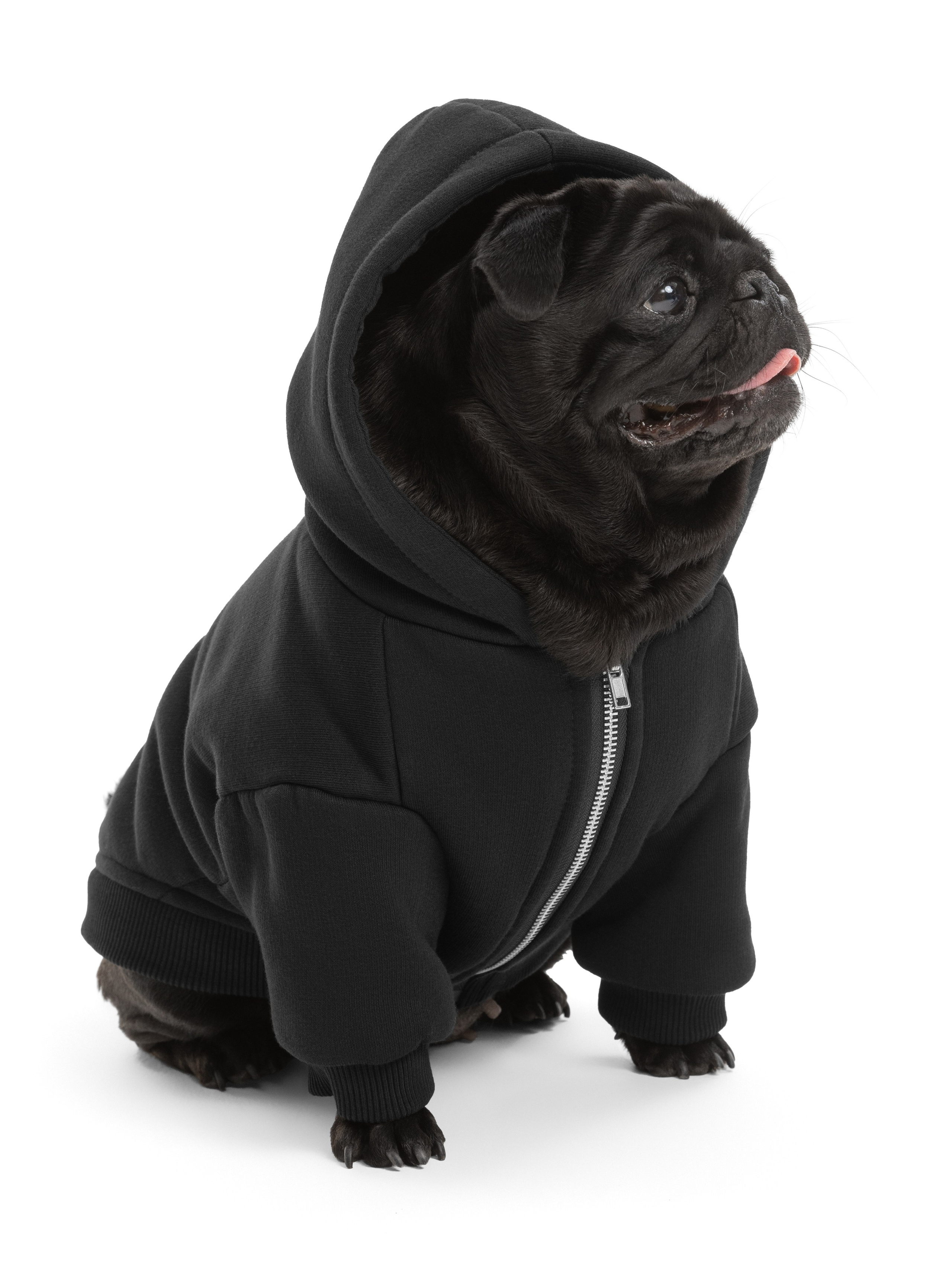 Одежда для собак Pet Subject. Олег Дмитриев