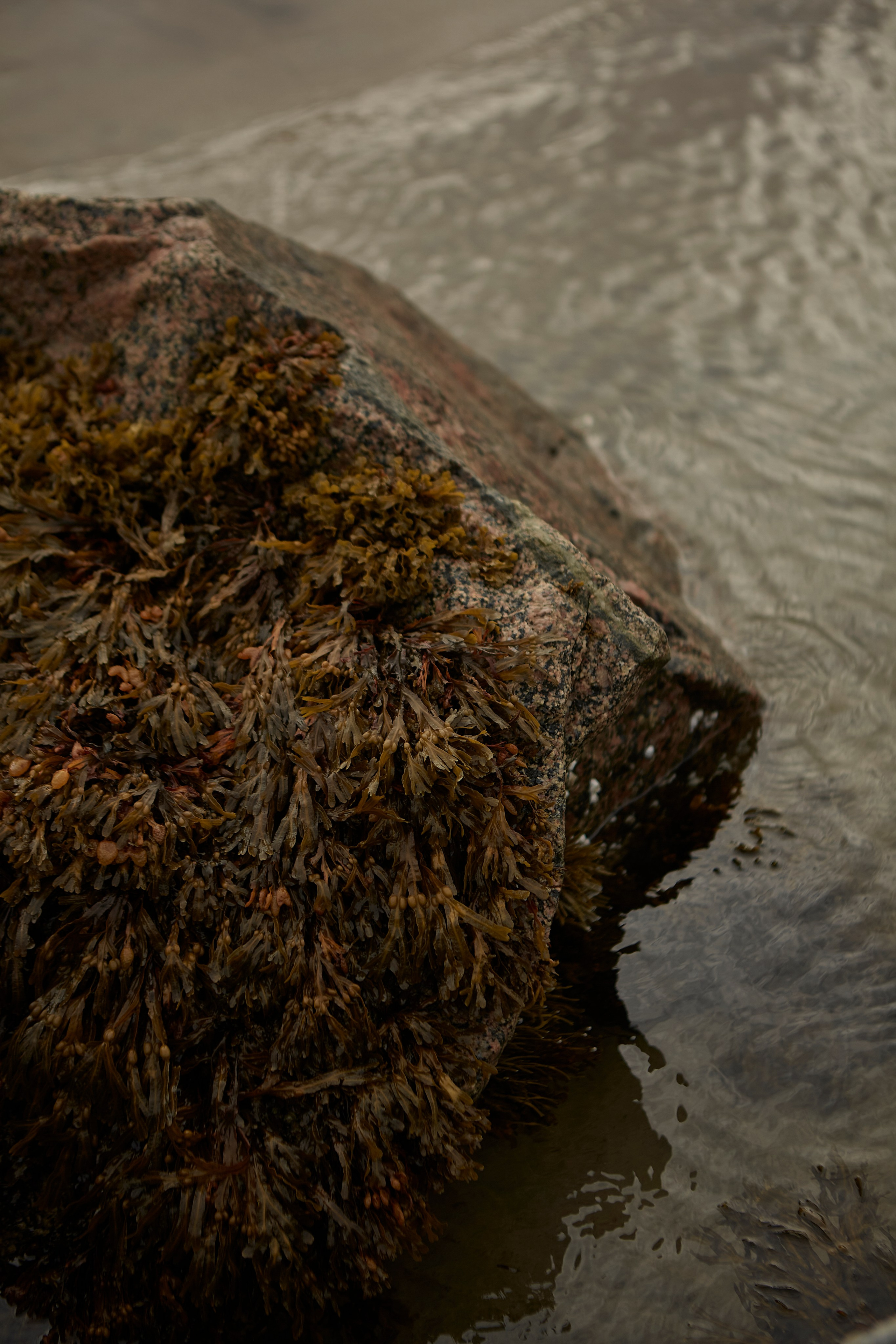 Ульяна. Анастасия Зобнинá — фотограф в Санкт-Петербурге/СПб
