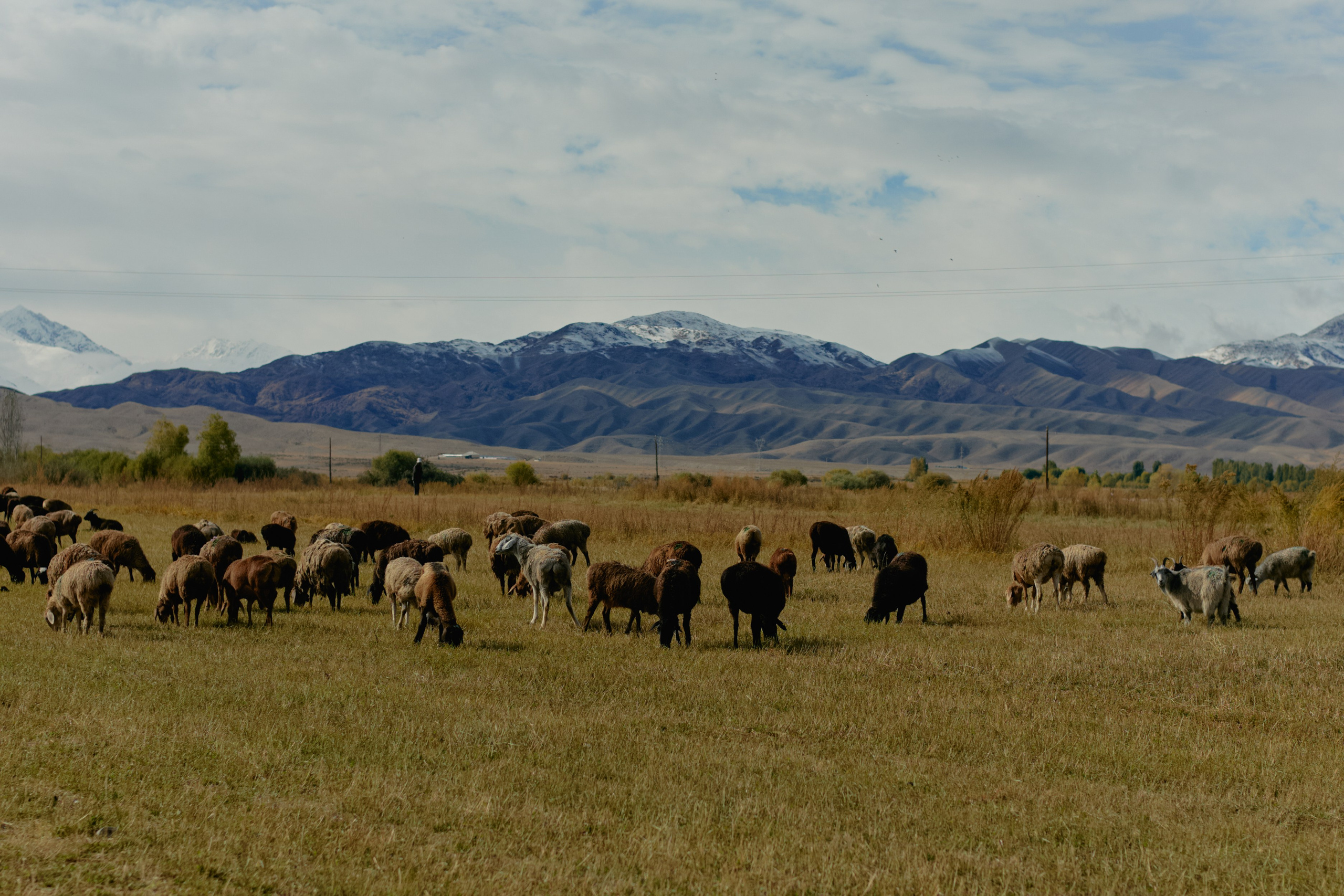 Кыргызтан. Профессиональный Фотограф во Владимире, в Москве и в Суздале — Полина Романычева