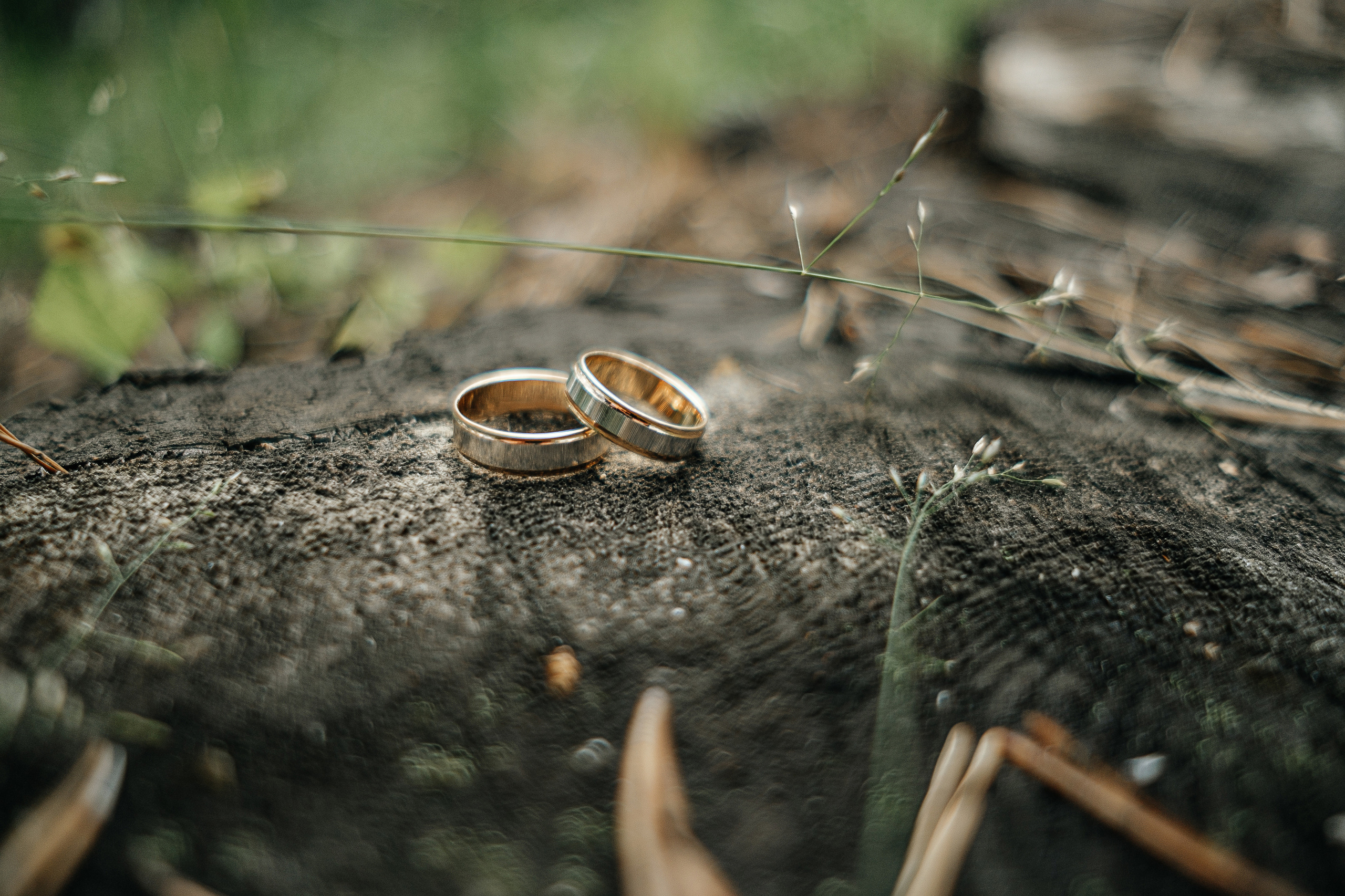 Отзывы. Свадебный и семейный фотограф Барнаул Рубцовск Бийск Алтайский край