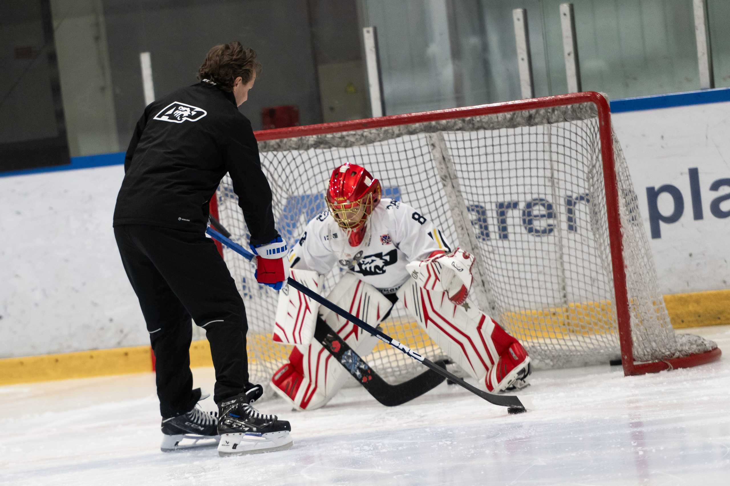 МК Артемия ПАНАРИНА. ДИНА МИХНЕВА спортивный фотограф Москва