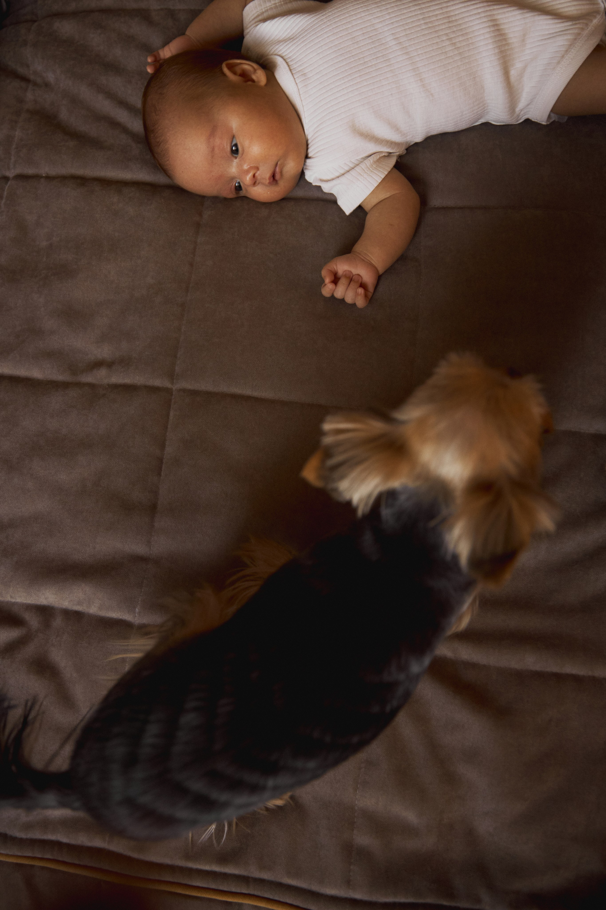 Лева и его семья. Семейный и свадебный фотограф Лилия Матонина | Ангарск, Иркутск, Усолье-Сибирское, Байкал (Листвянка, Ольхон), Иркутская область